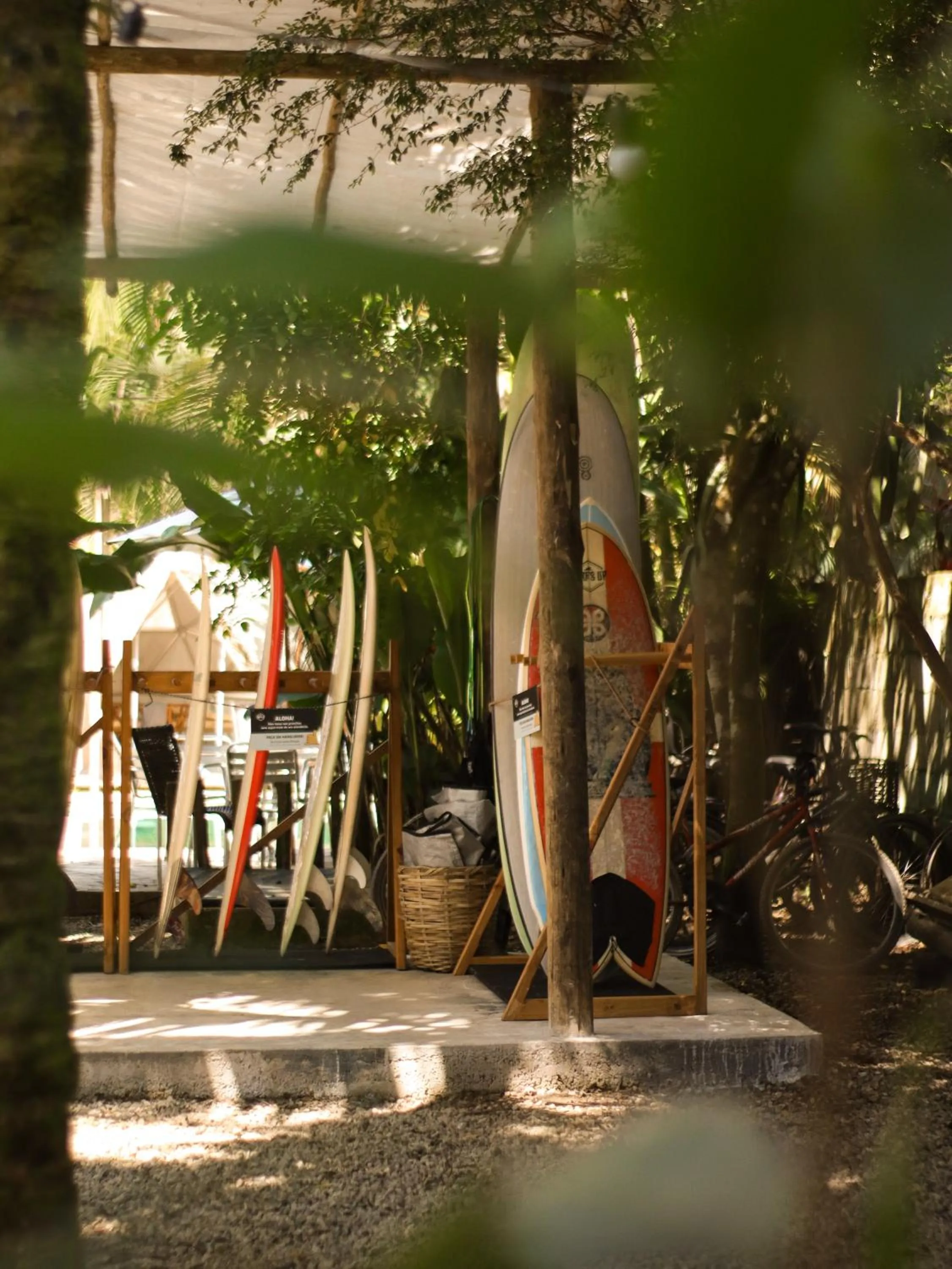 Garden in Pousada e Hostel Marthi