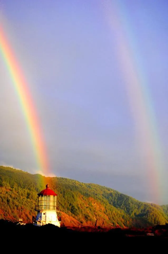 Natural landscape in The Oceanfront Inn