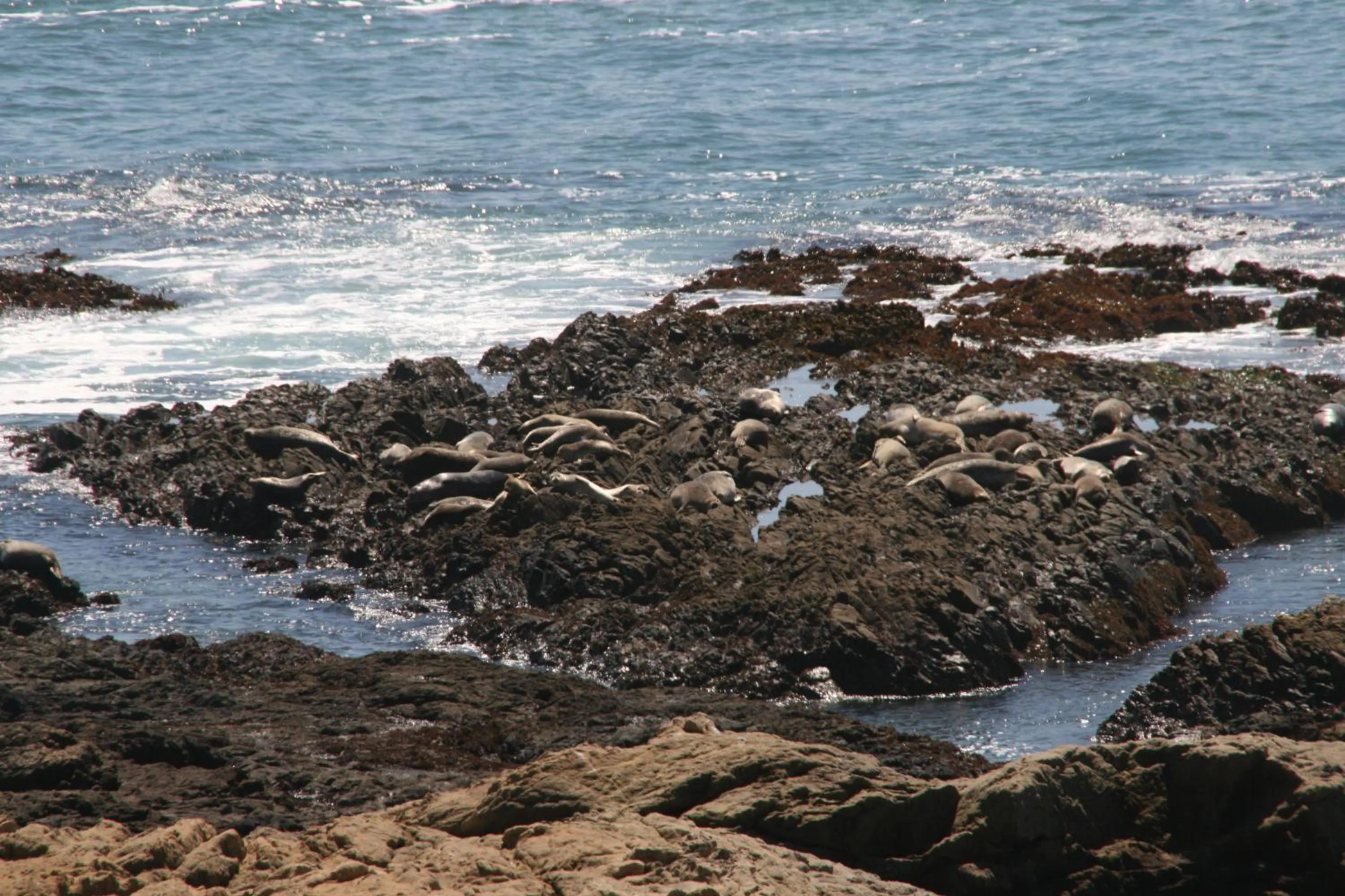 Beach in The Oceanfront Inn
