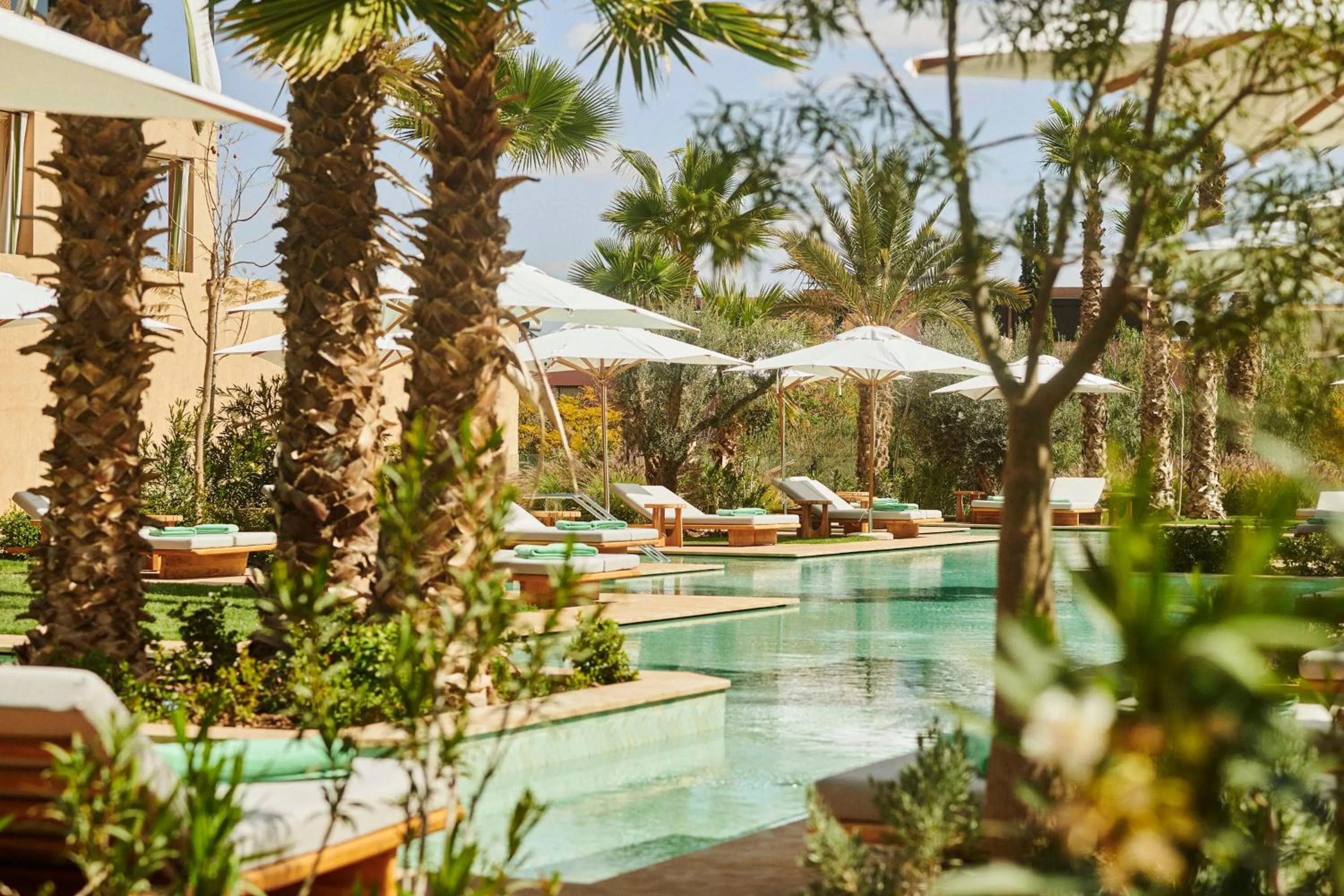 Natural landscape in Park Hyatt Marrakech