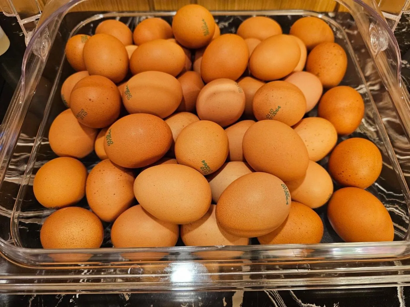 Restaurant/places to eat in Mari Hotel