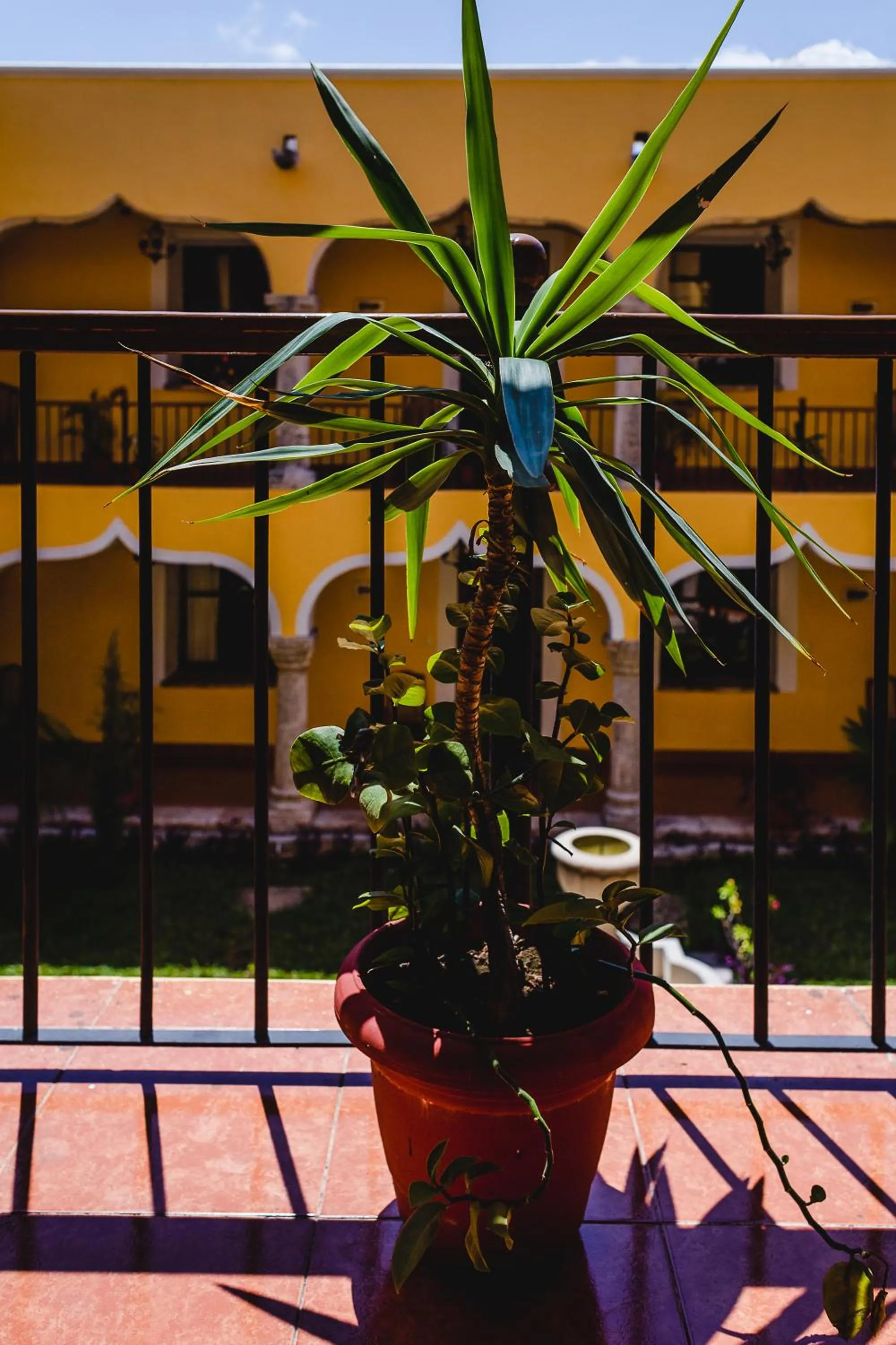 Area and facilities in Hotel Montejo