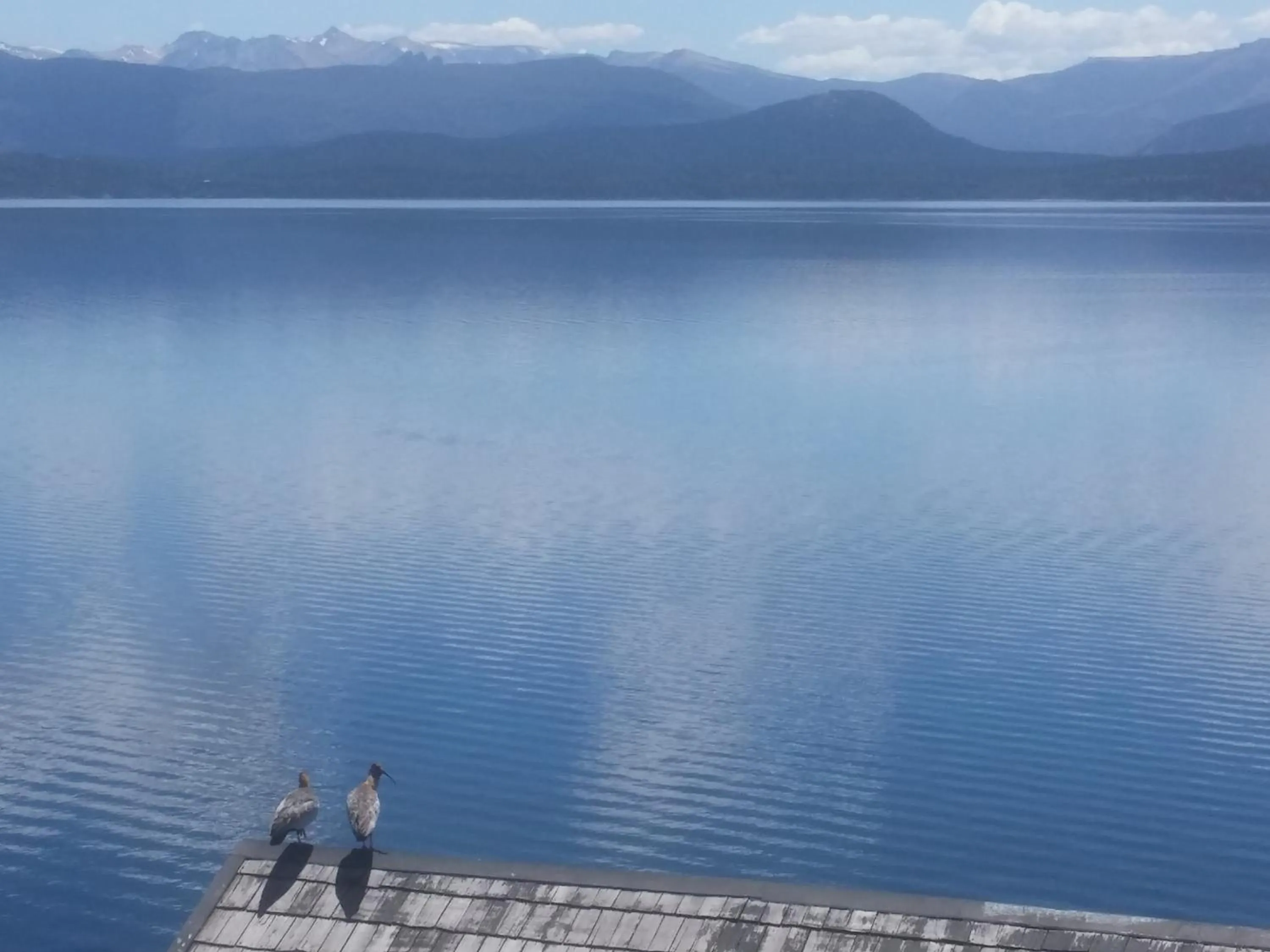 Lake view in Las Gaviotas