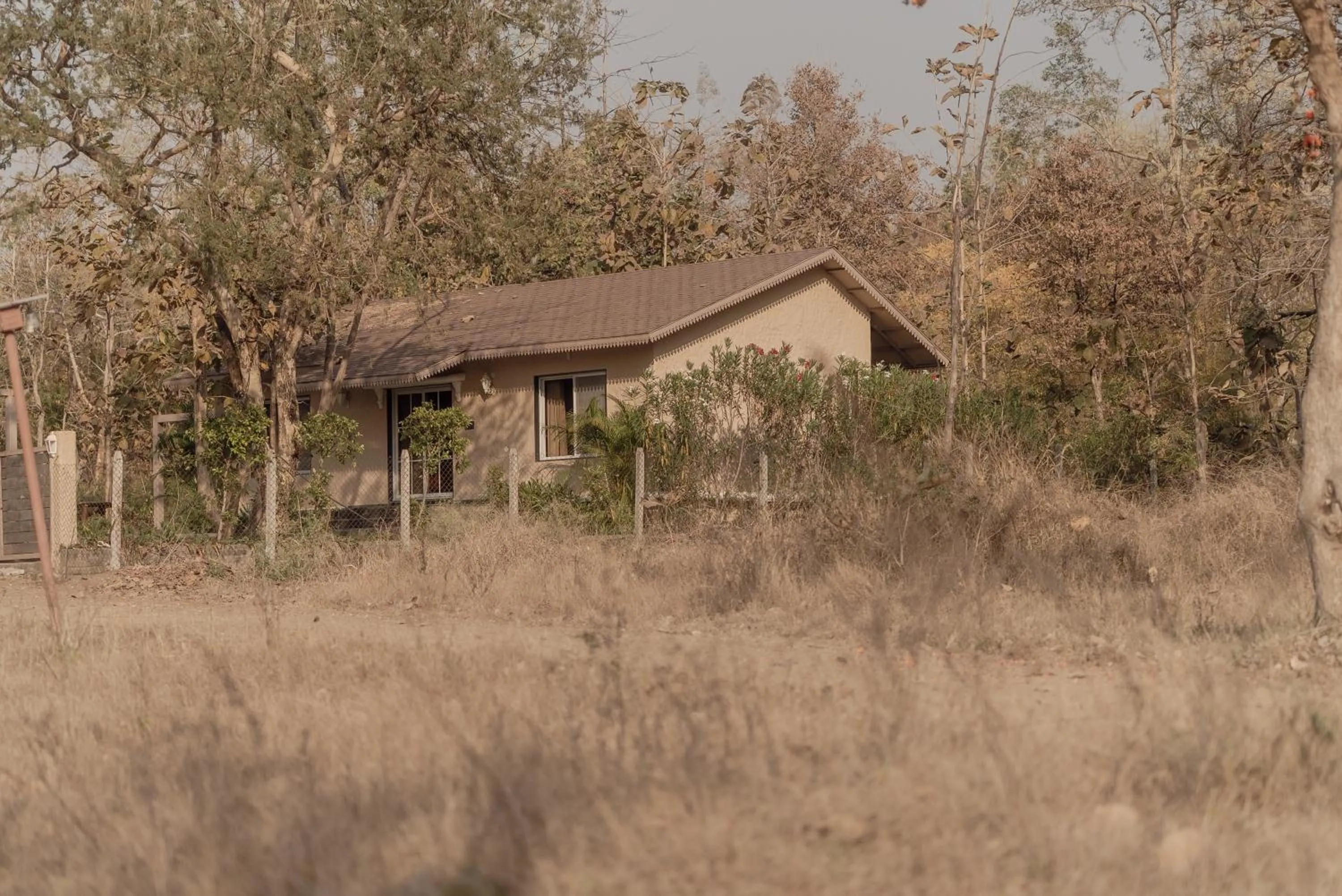Property building in Wild Woods Tiger Resort