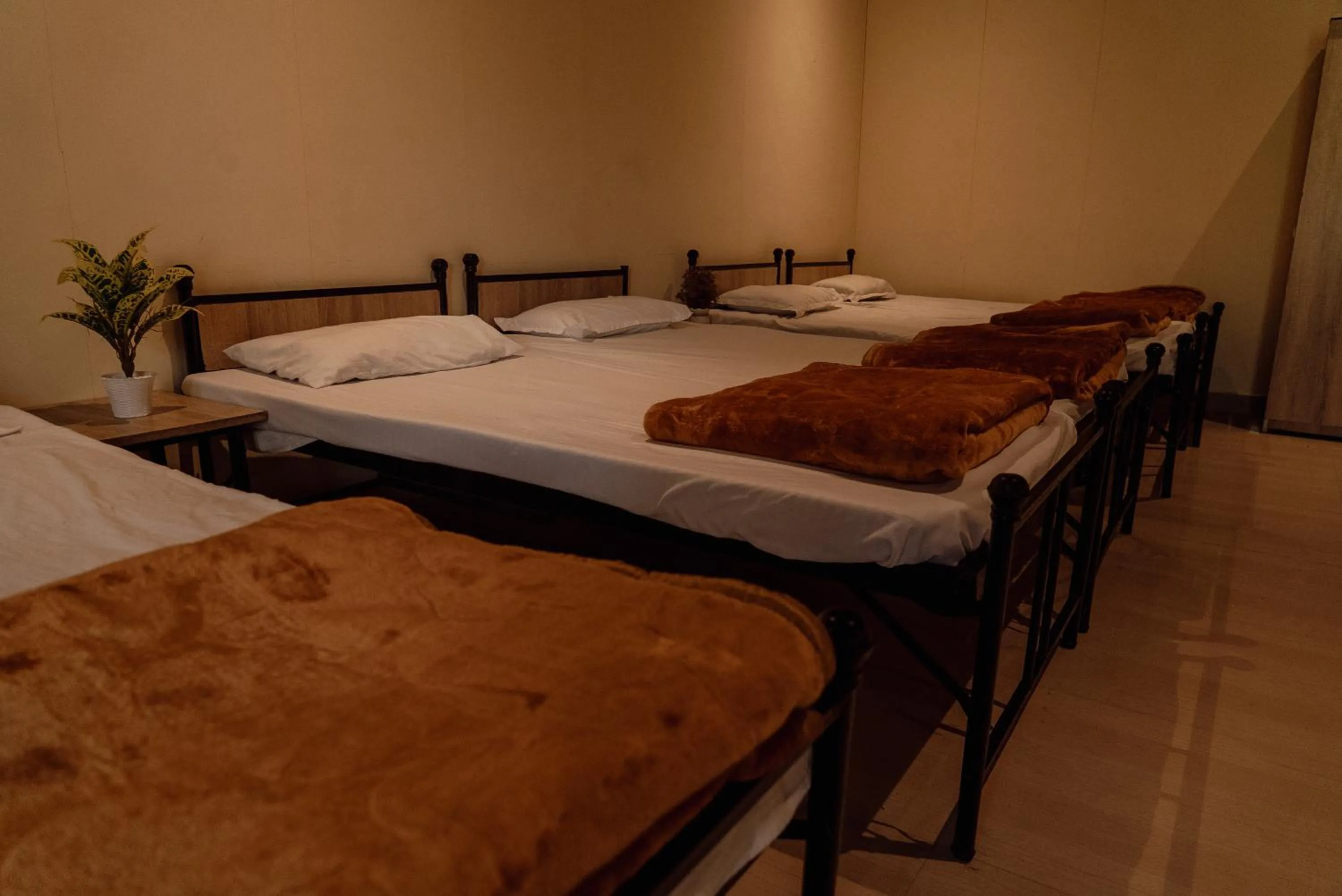 Bed in Wild Woods Tiger Resort
