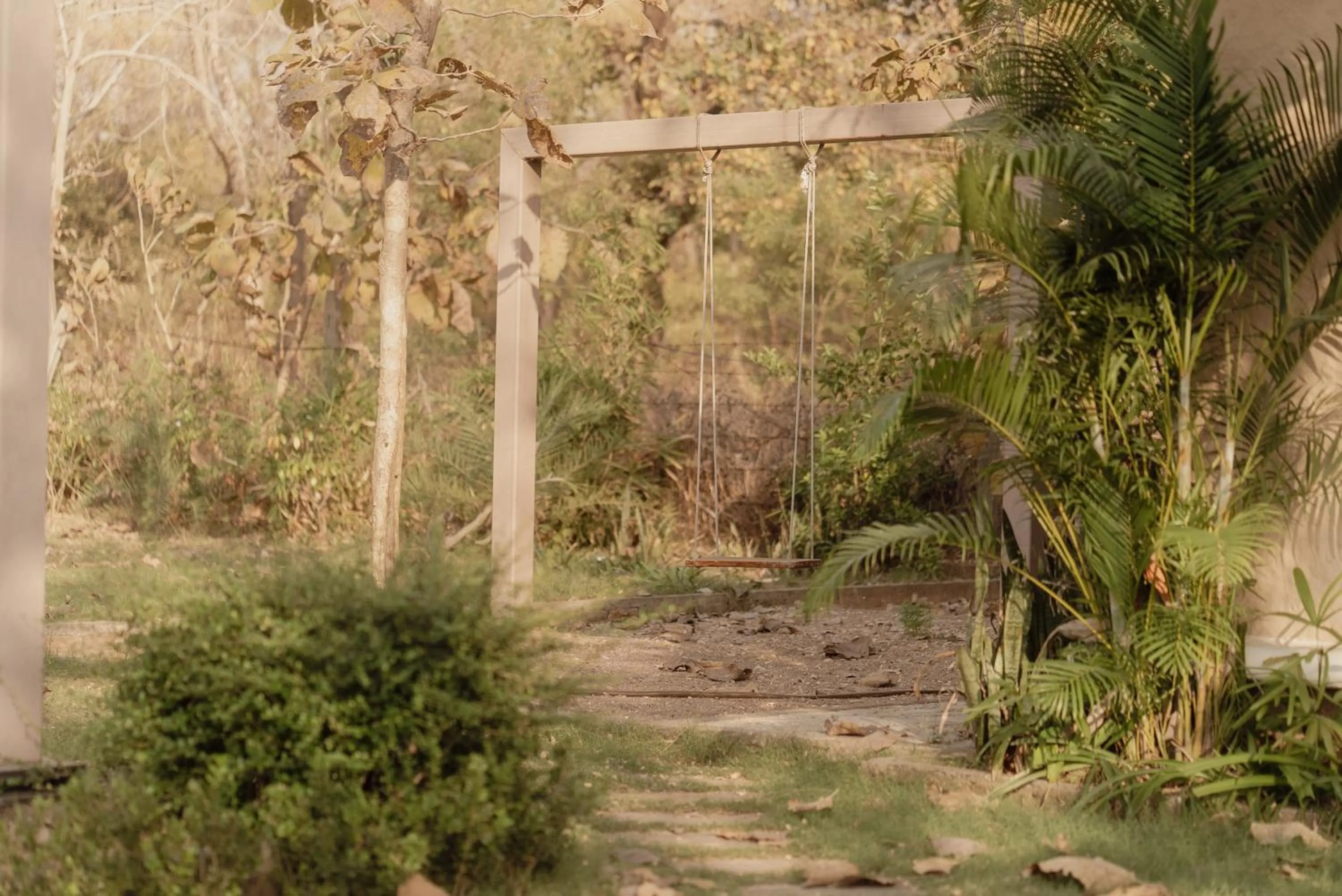 Garden in Wild Woods Tiger Resort