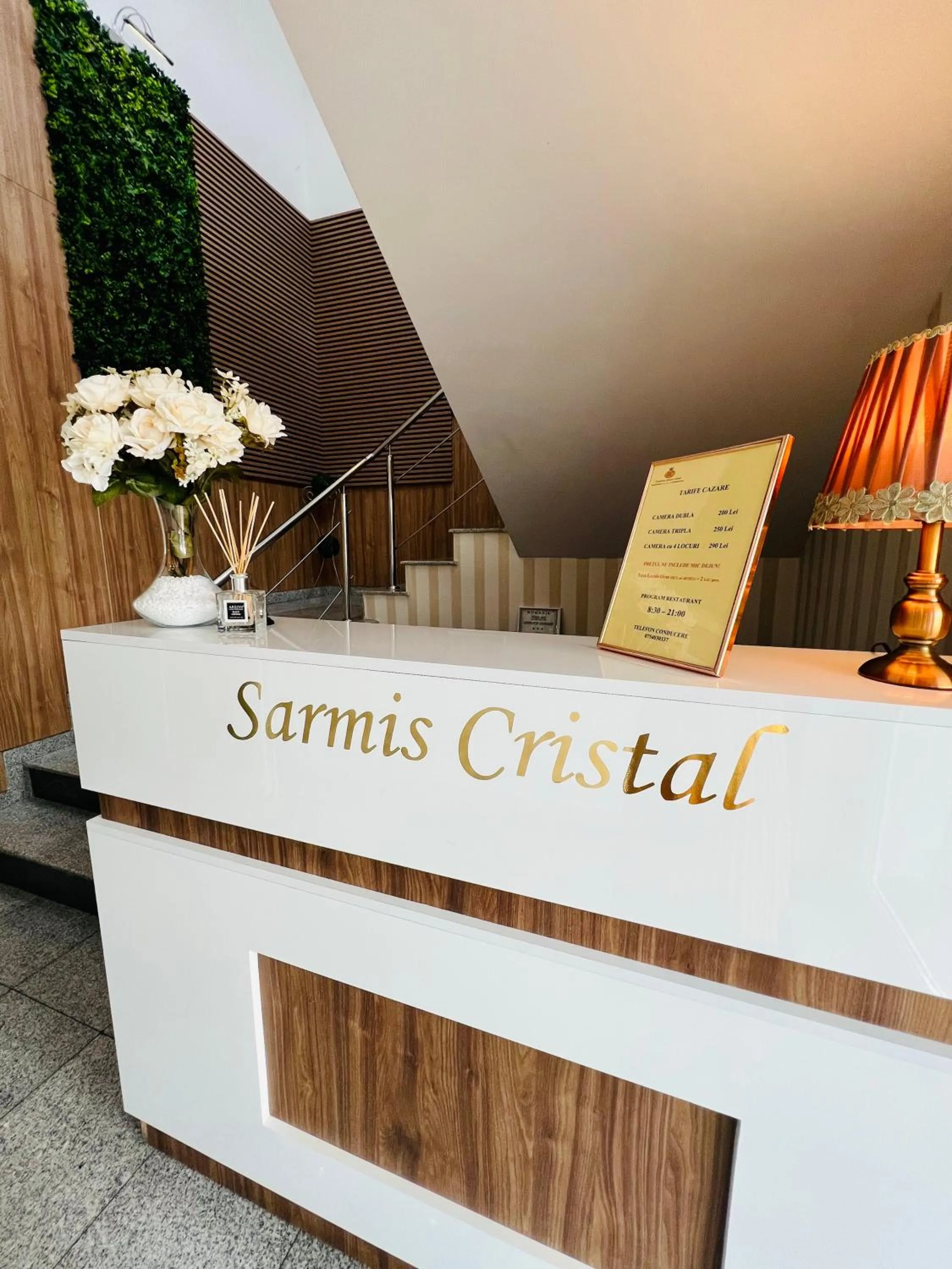 Lobby or reception in Pensiunea Sarmis Cristal