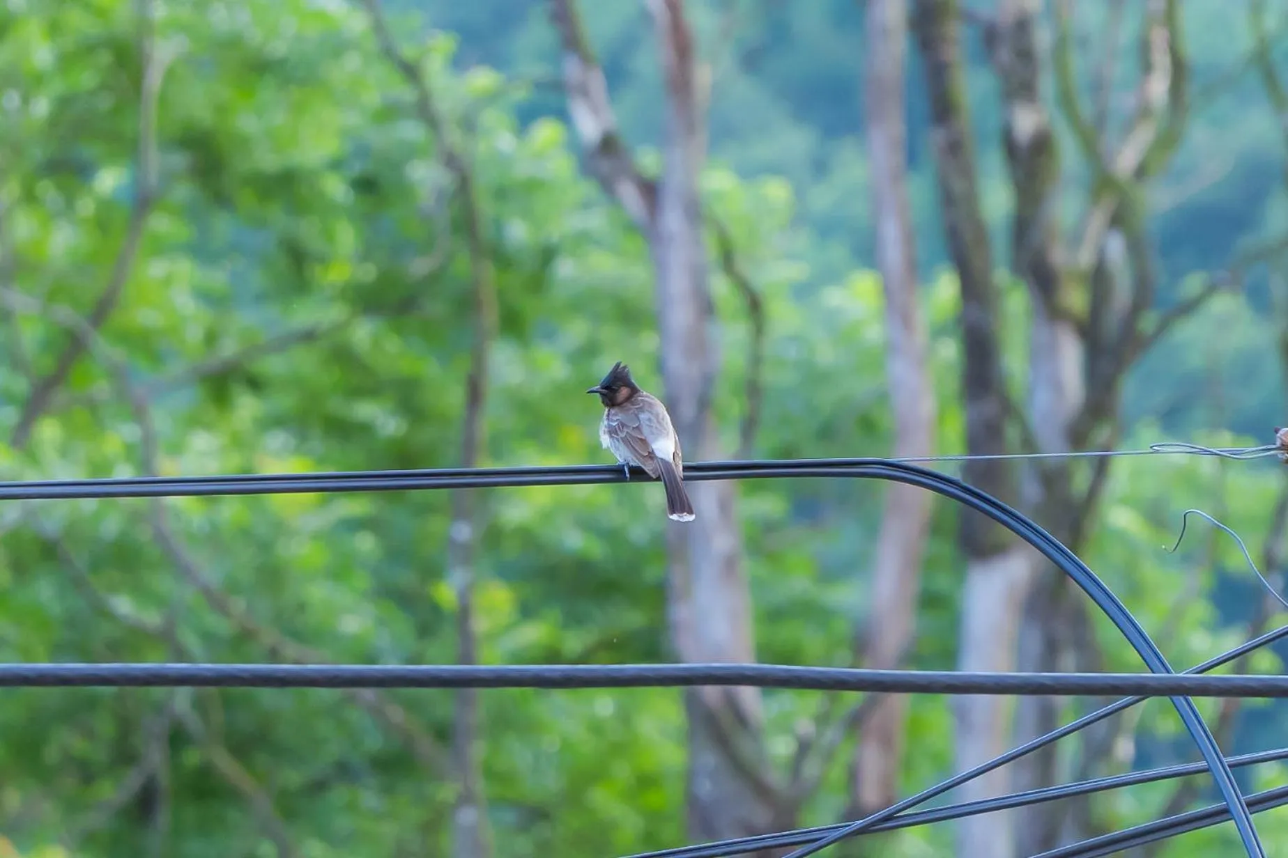 Spring in Moonlight Resort and Spa