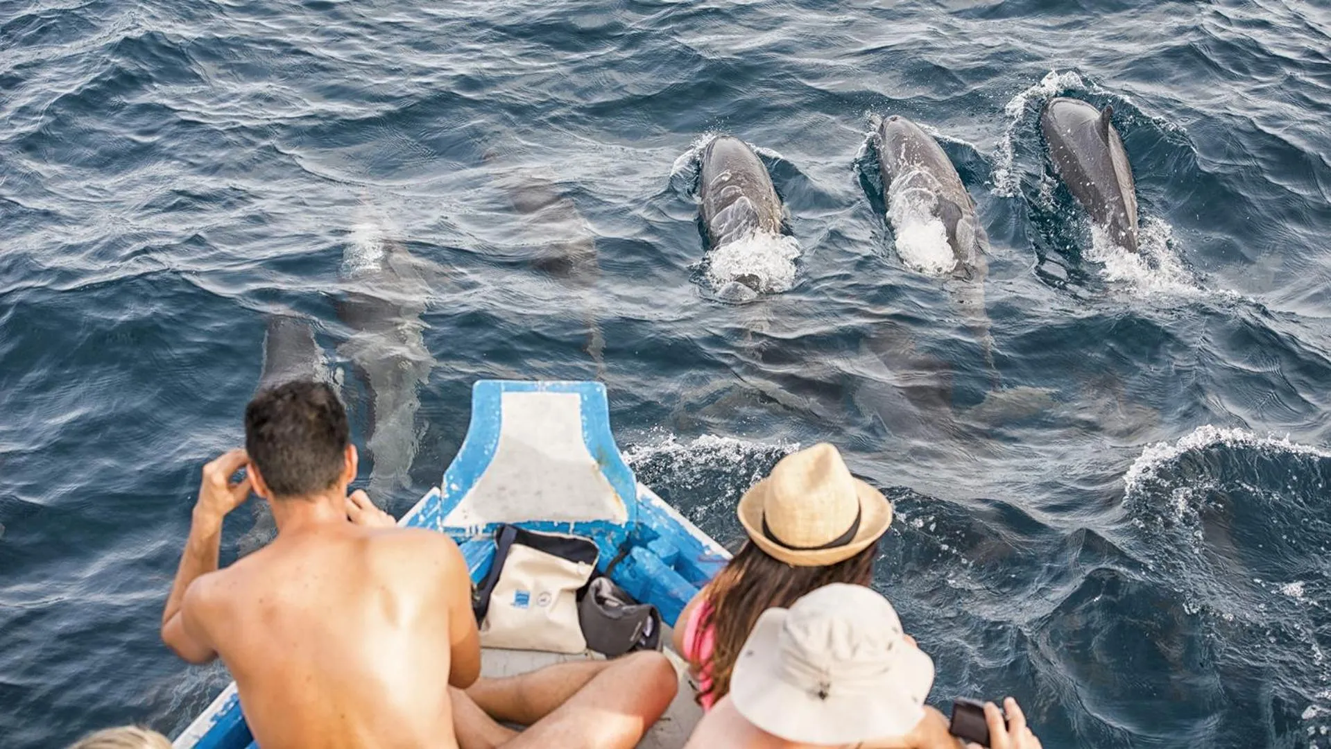 Day in The Barefoot Eco Hotel