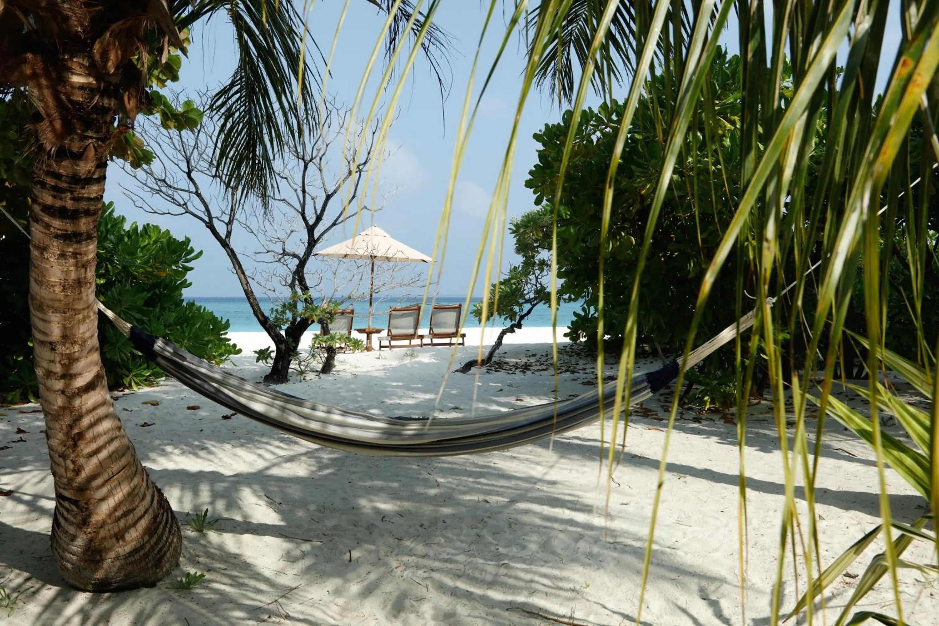 Natural landscape in The Barefoot Eco Hotel