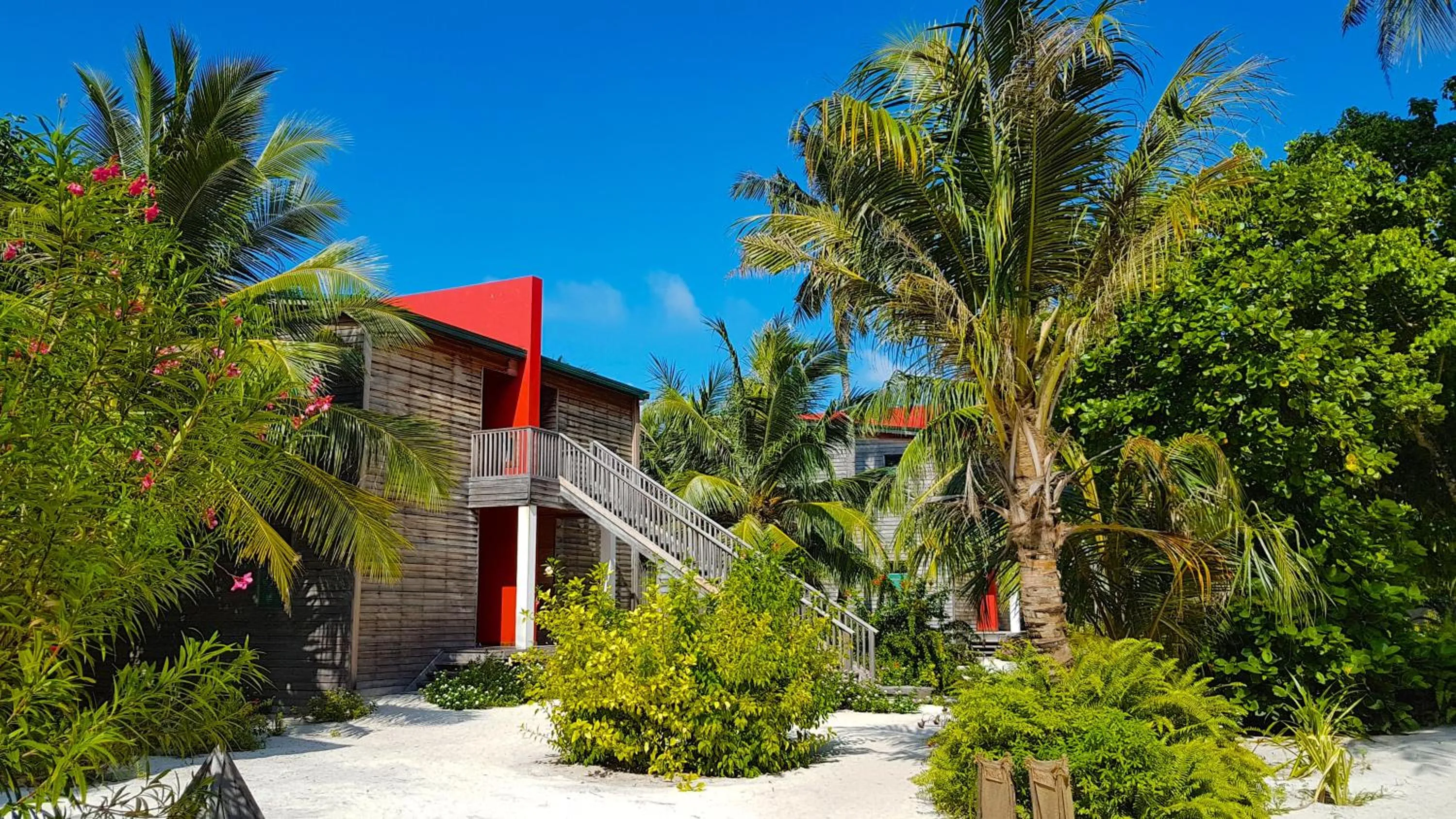 Photo of the whole room in The Barefoot Eco Hotel