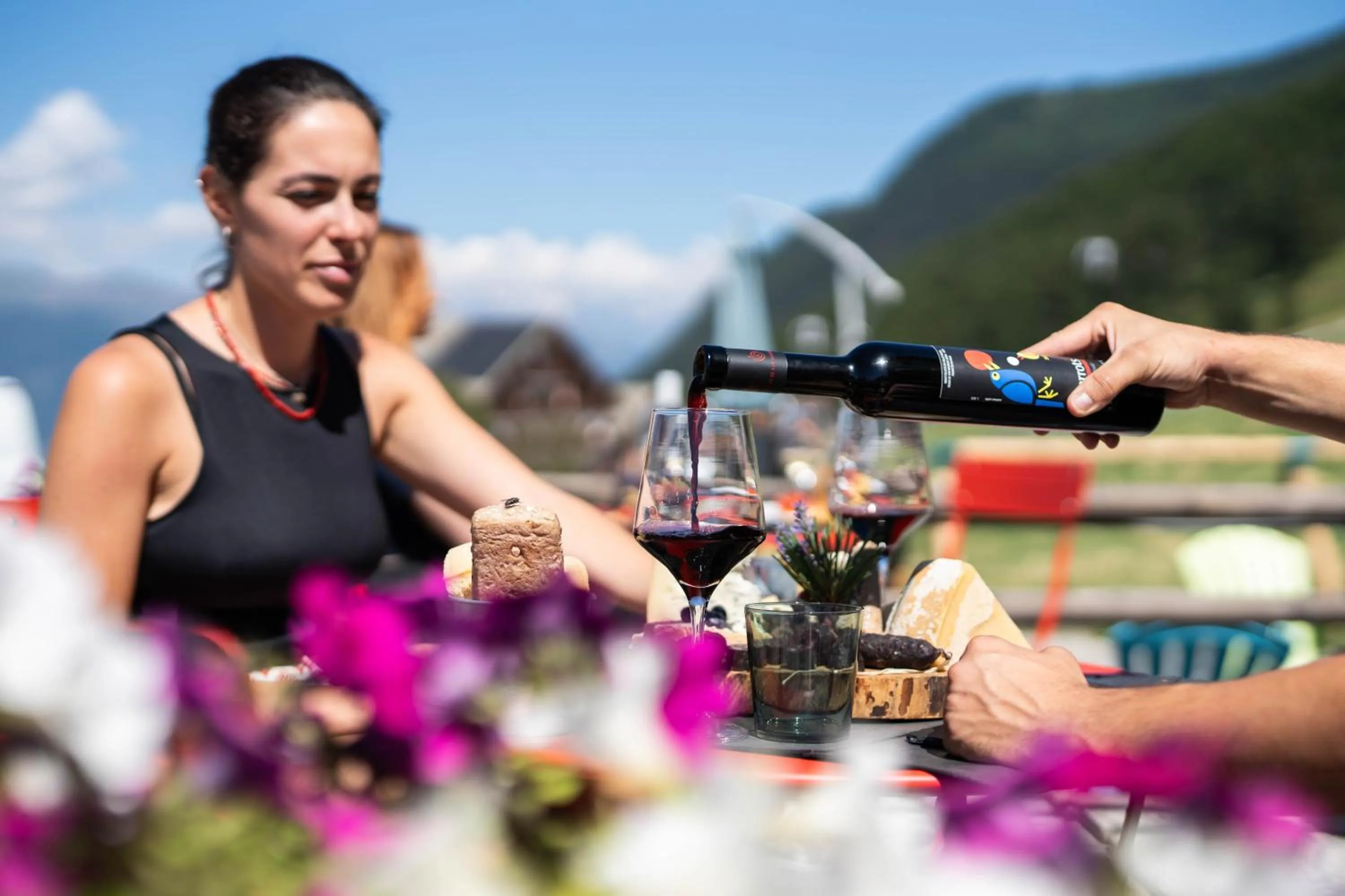 Food and drinks in CHALET DES ALPES