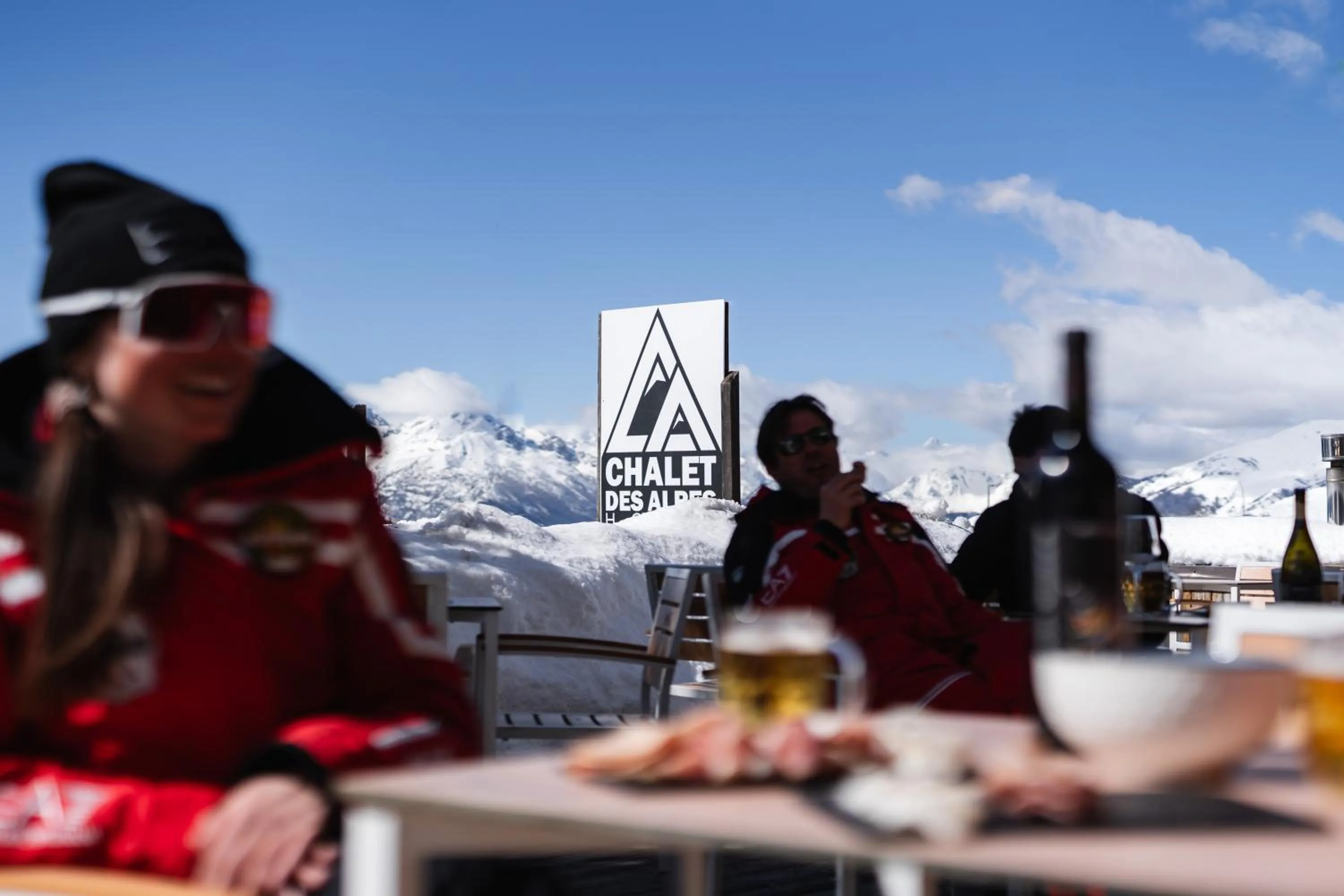 Property logo or sign in CHALET DES ALPES