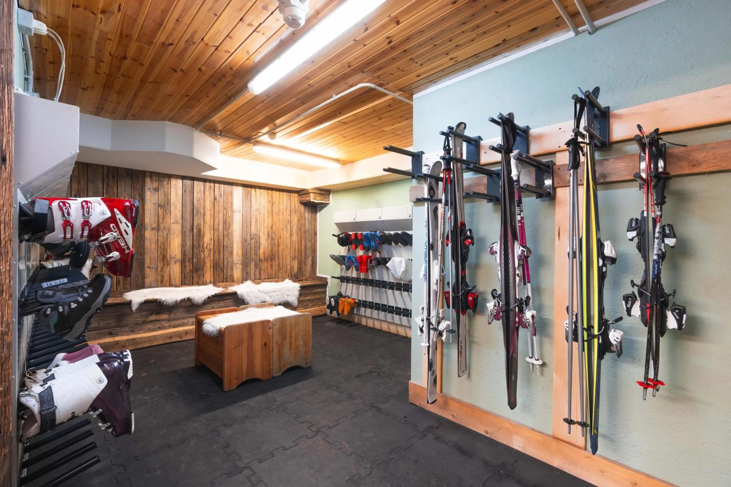 storage in CHALET DES ALPES