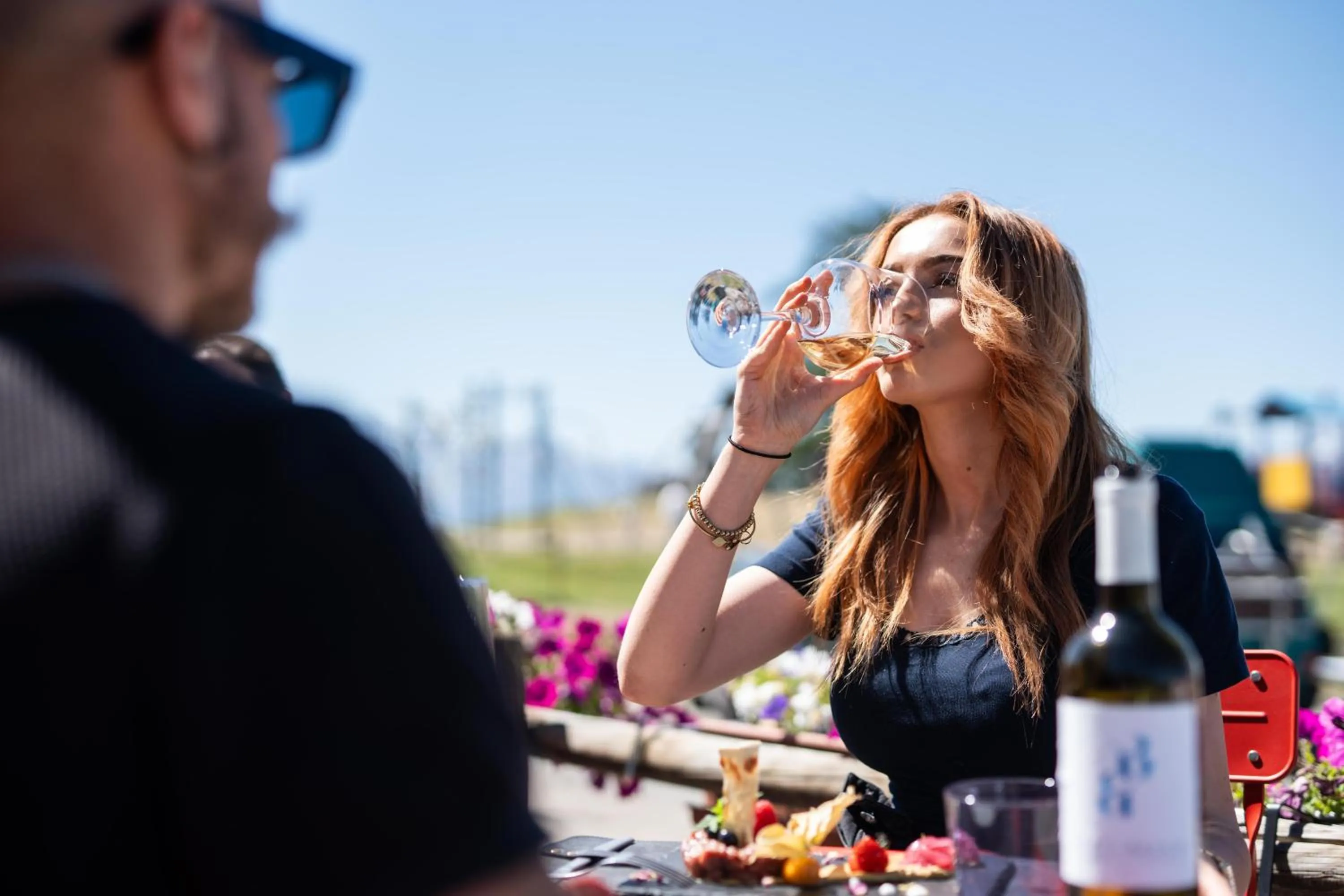 Day in CHALET DES ALPES