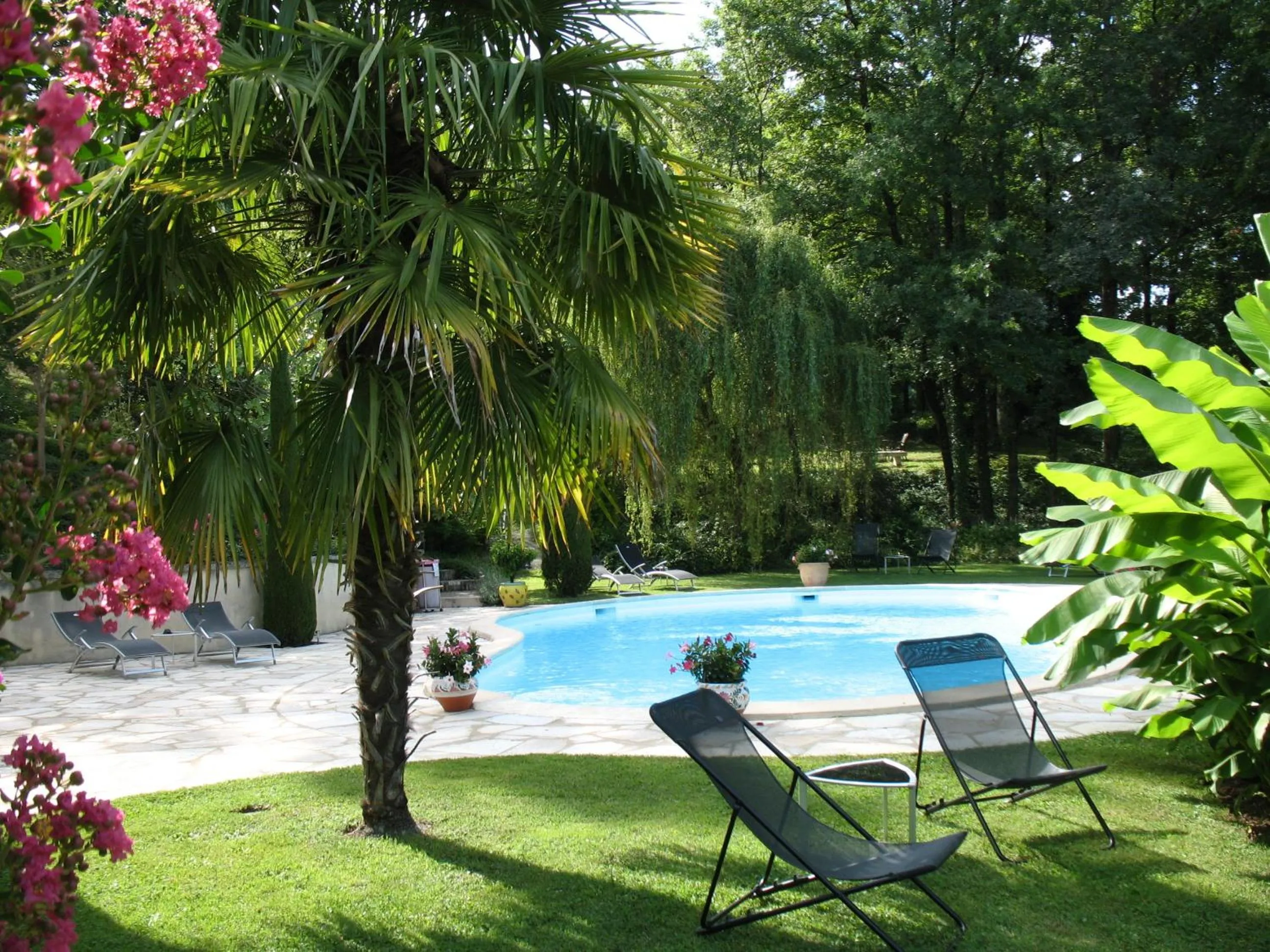 Garden in Villa Ric