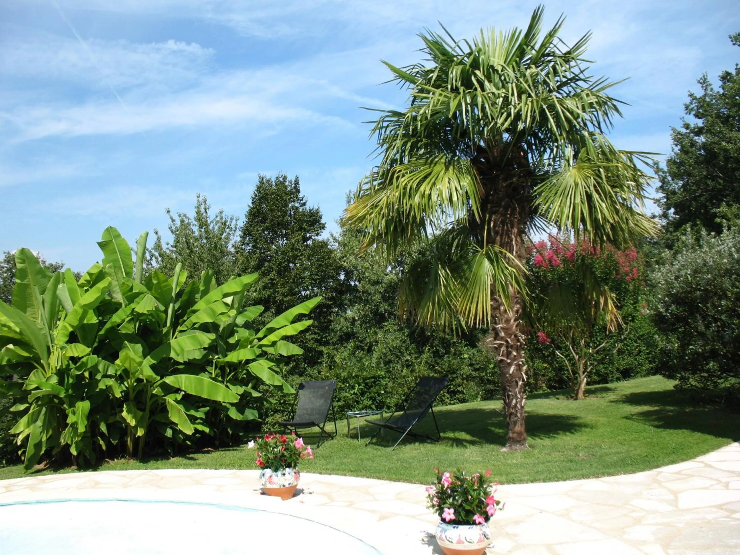 Garden in Villa Ric
