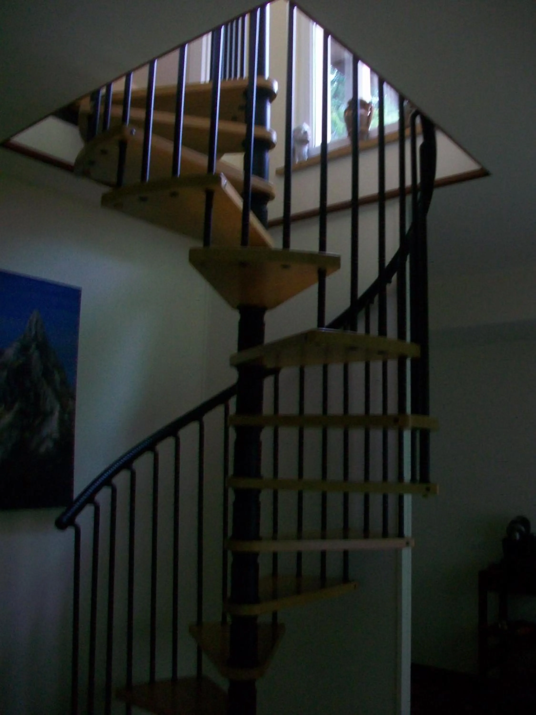 Area and facilities in B&B L'Albero Maestro