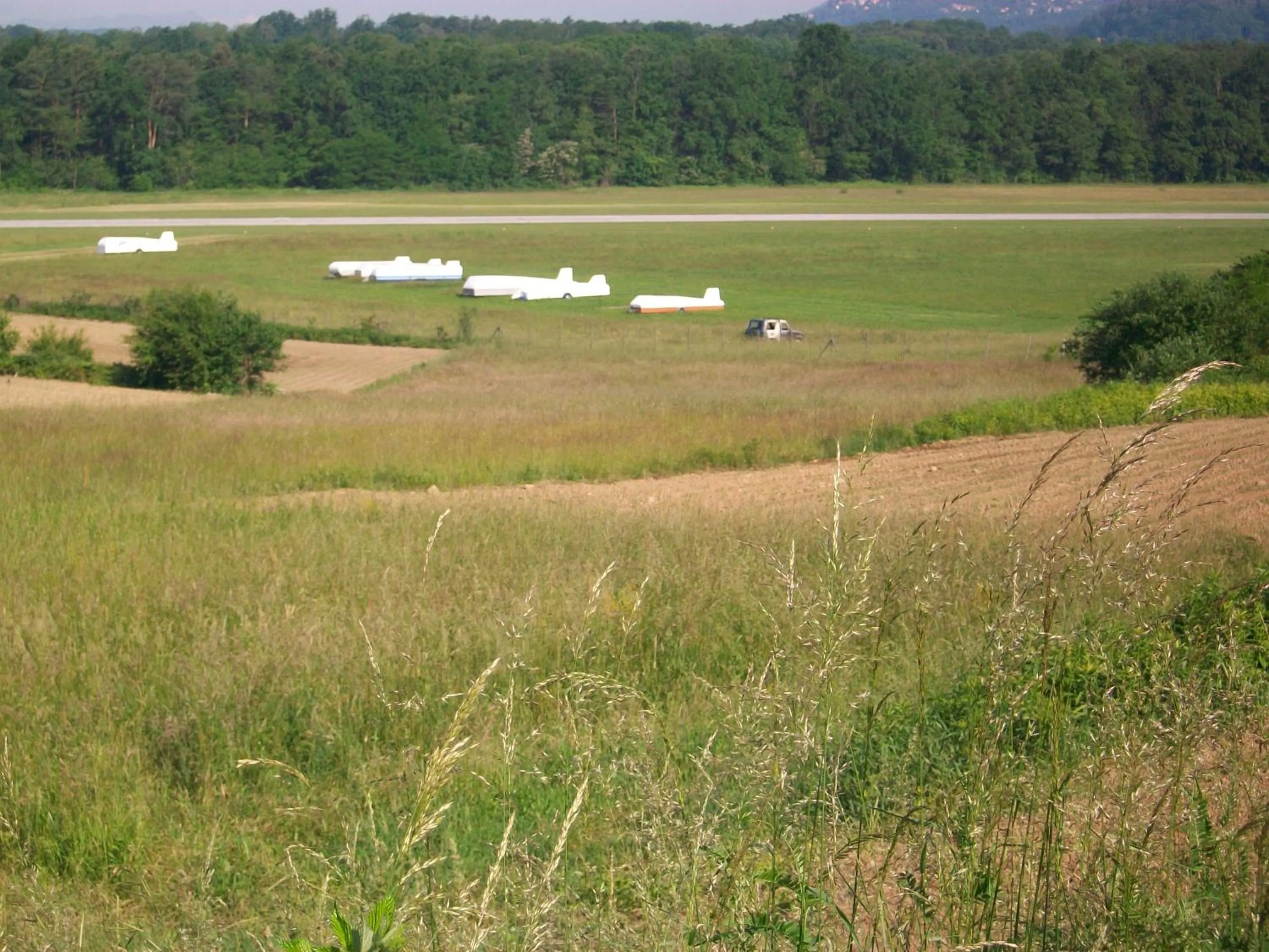 Property building in B&B L'Albero Maestro