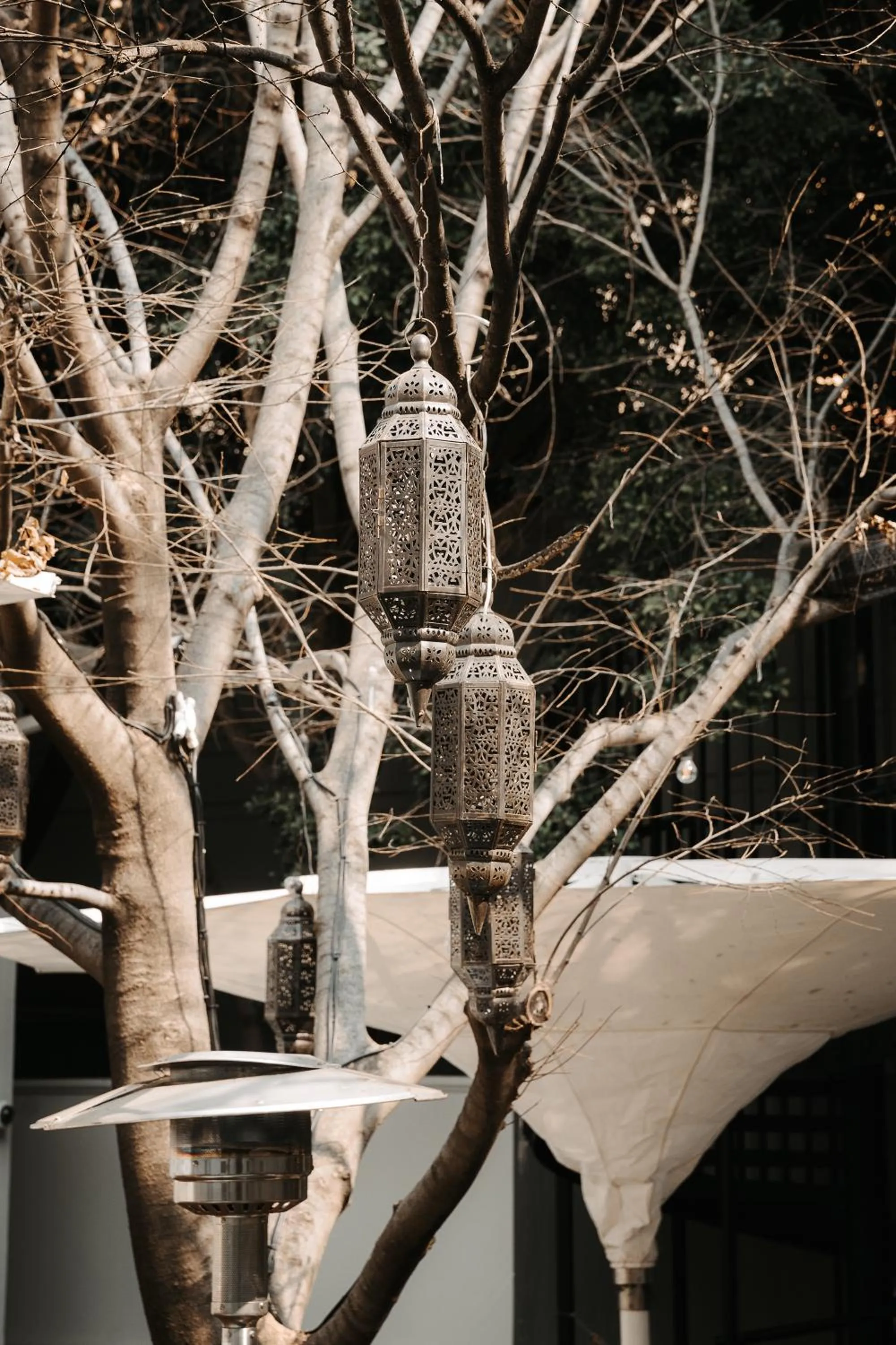 Day in The Monarch Hotel