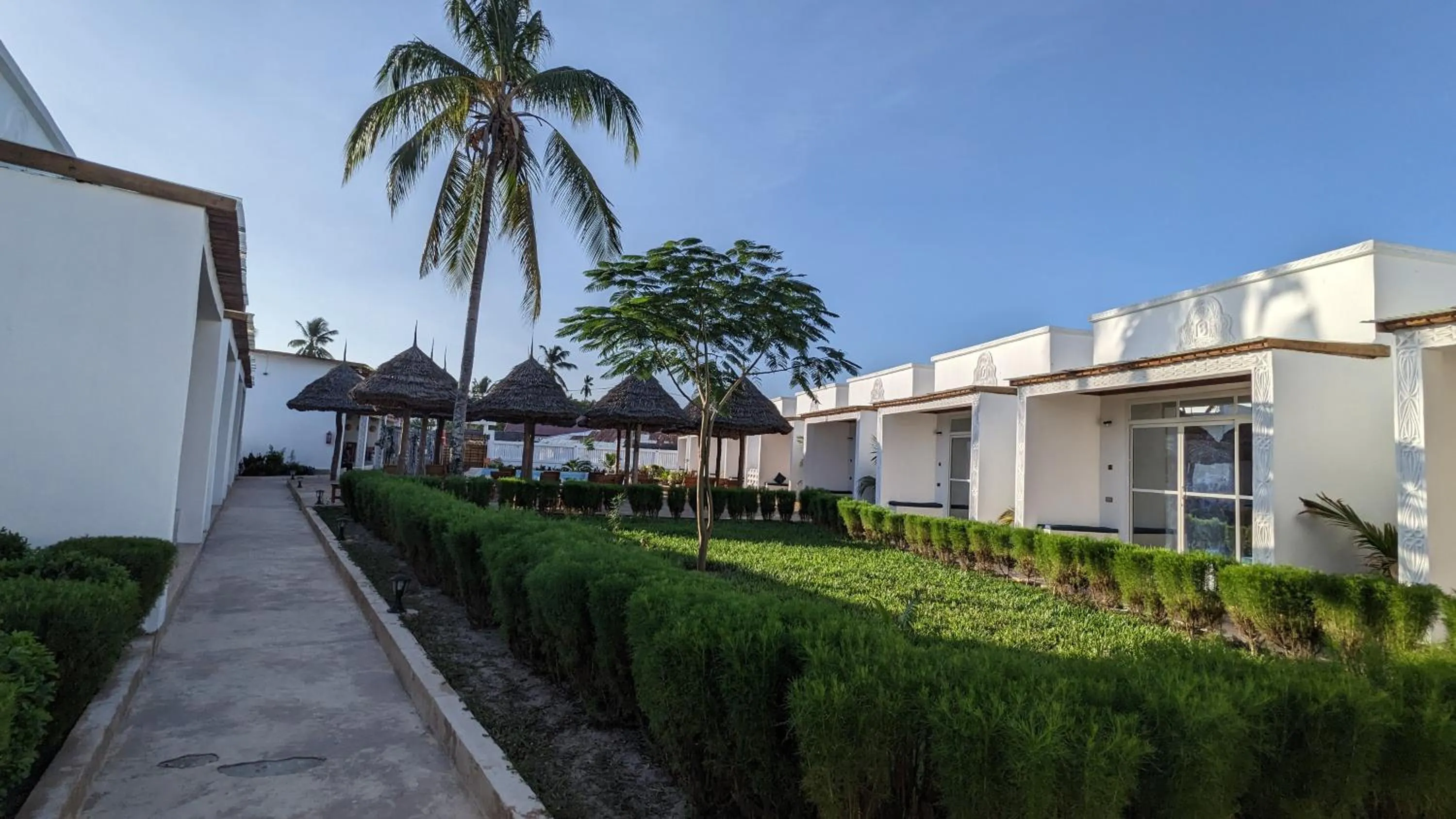 Garden view in Mafia Dream Hotel