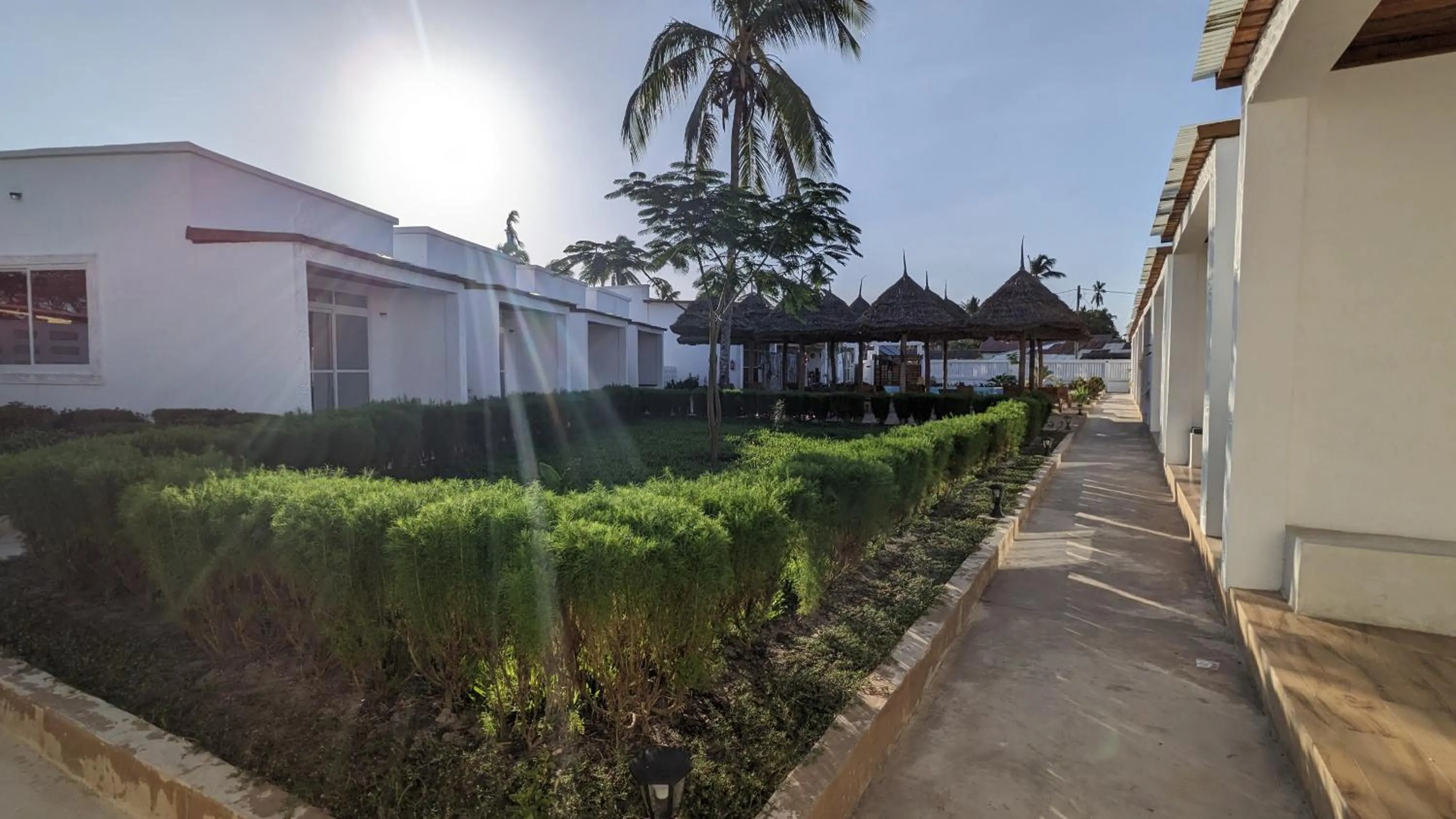 Garden view in Mafia Dream Hotel