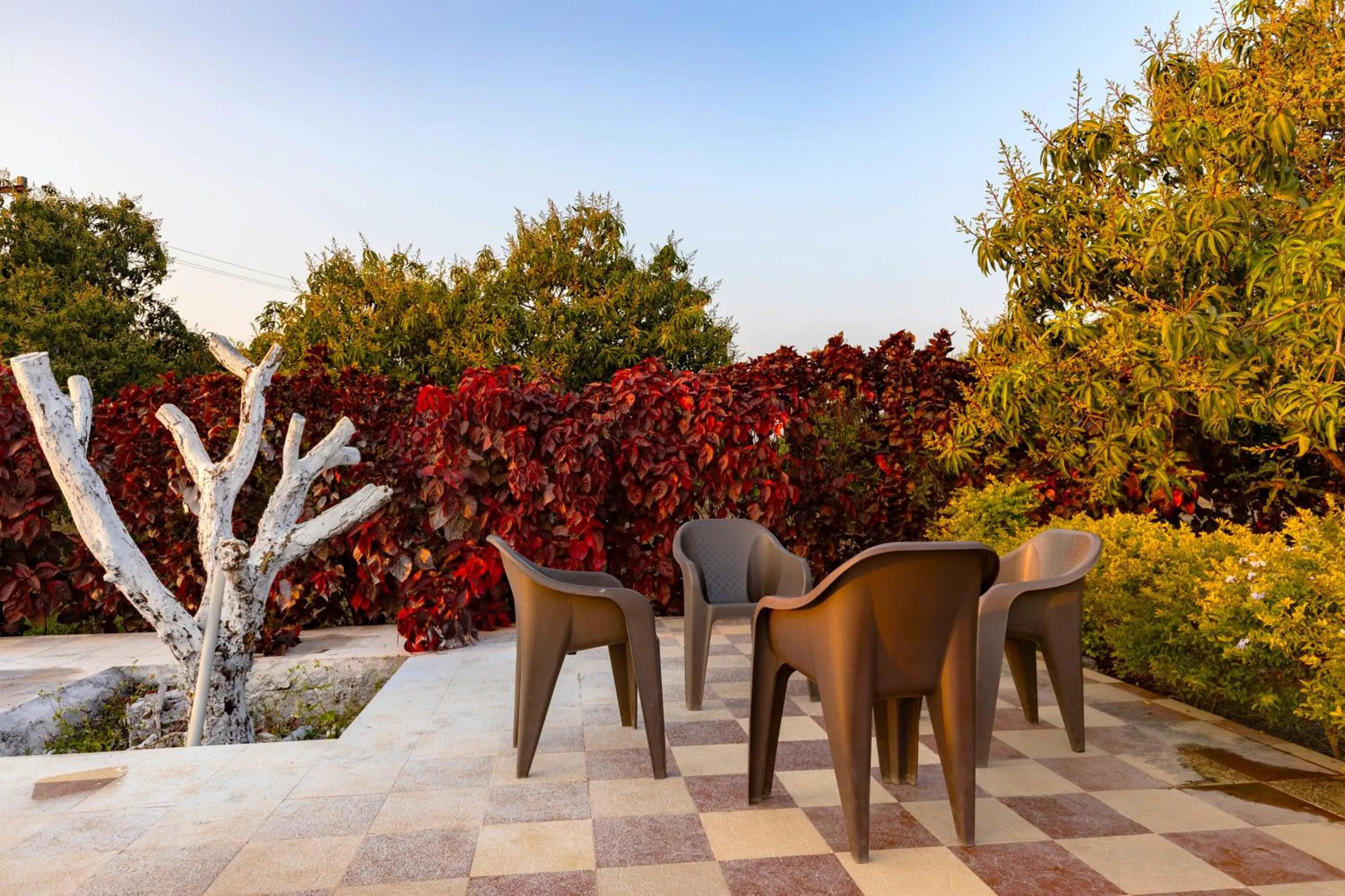 Garden in AamraKunj Gir Resort