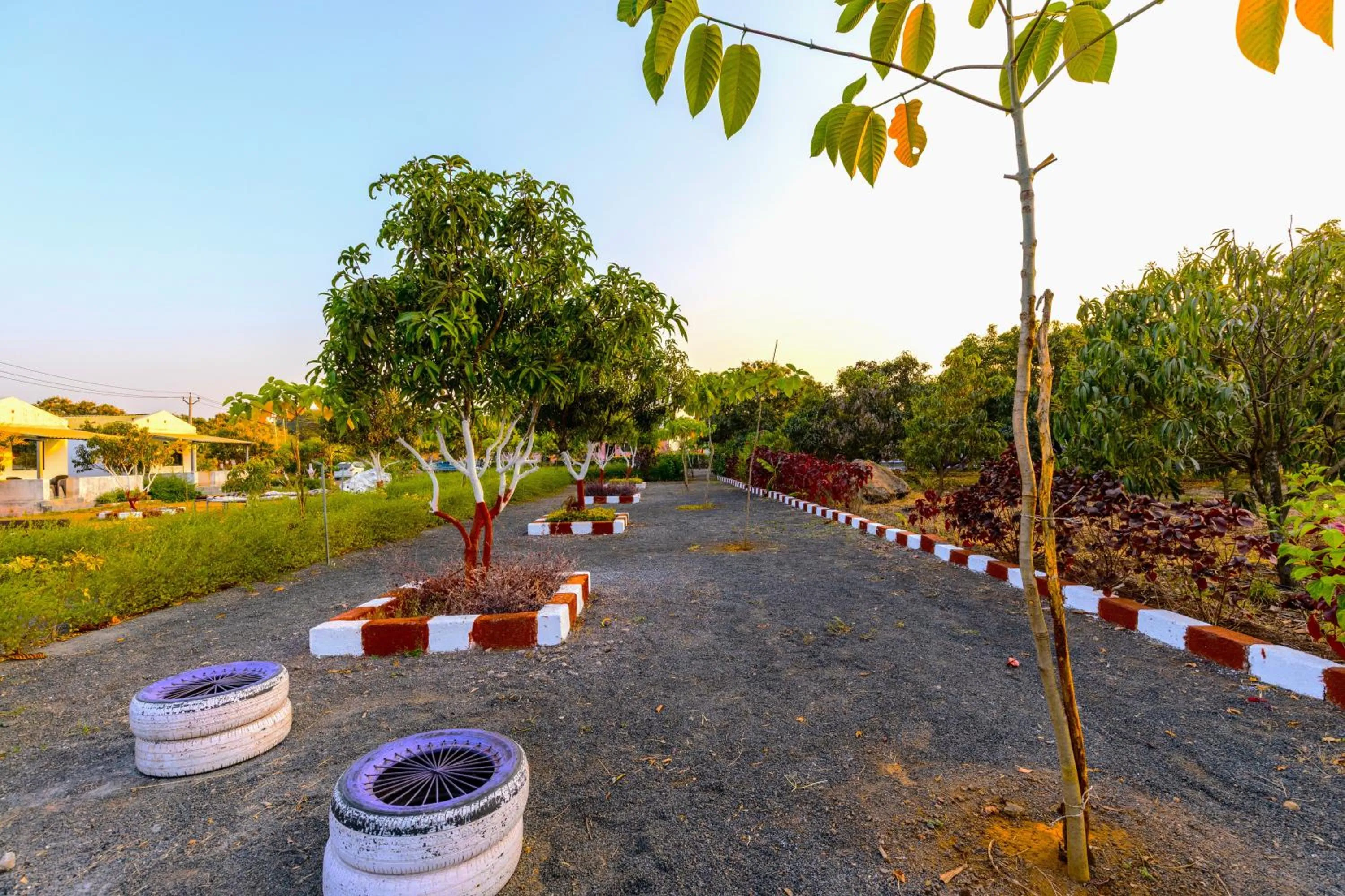 Day in AamraKunj Gir Resort