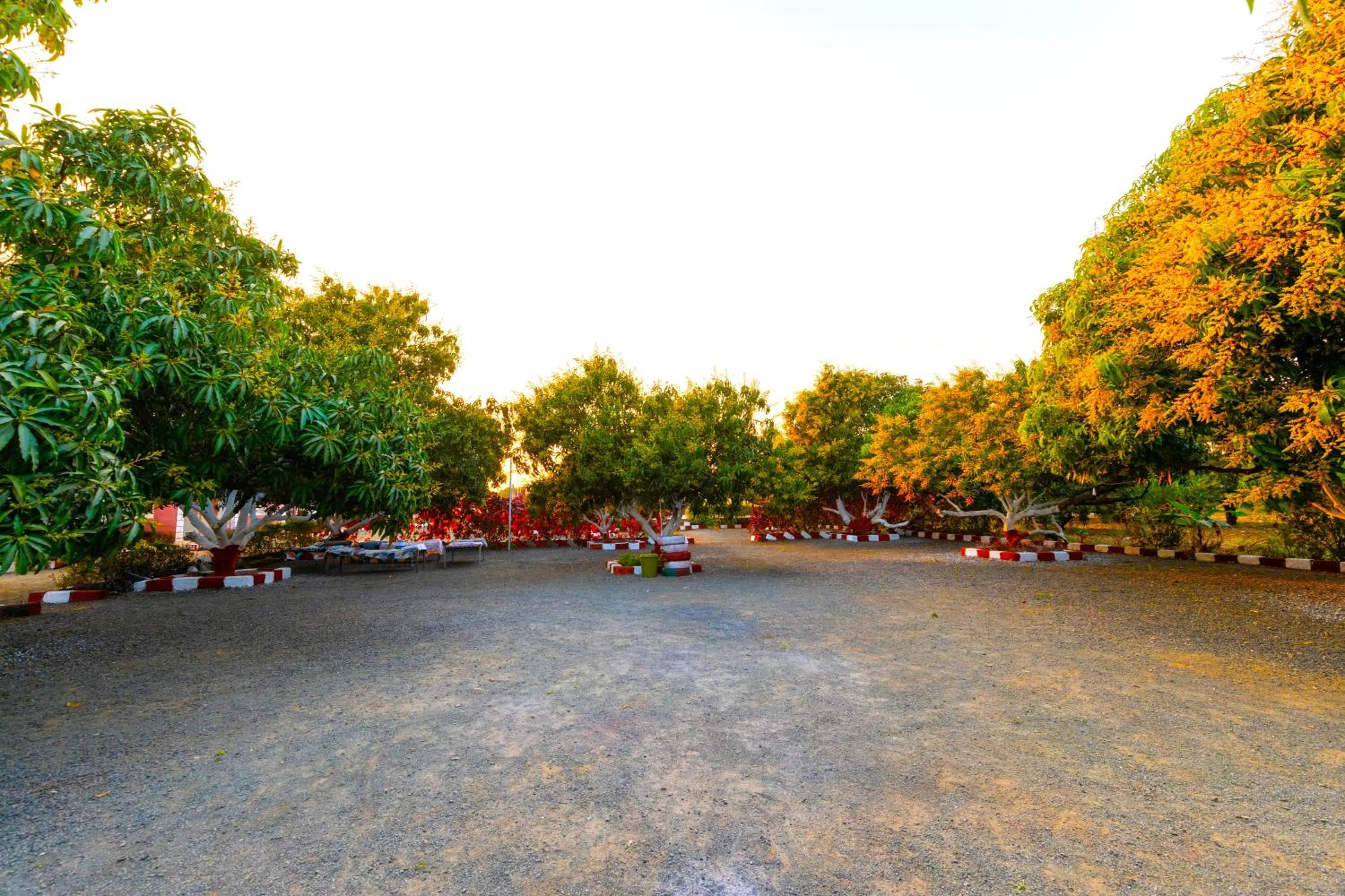 Natural landscape in AamraKunj Gir Resort