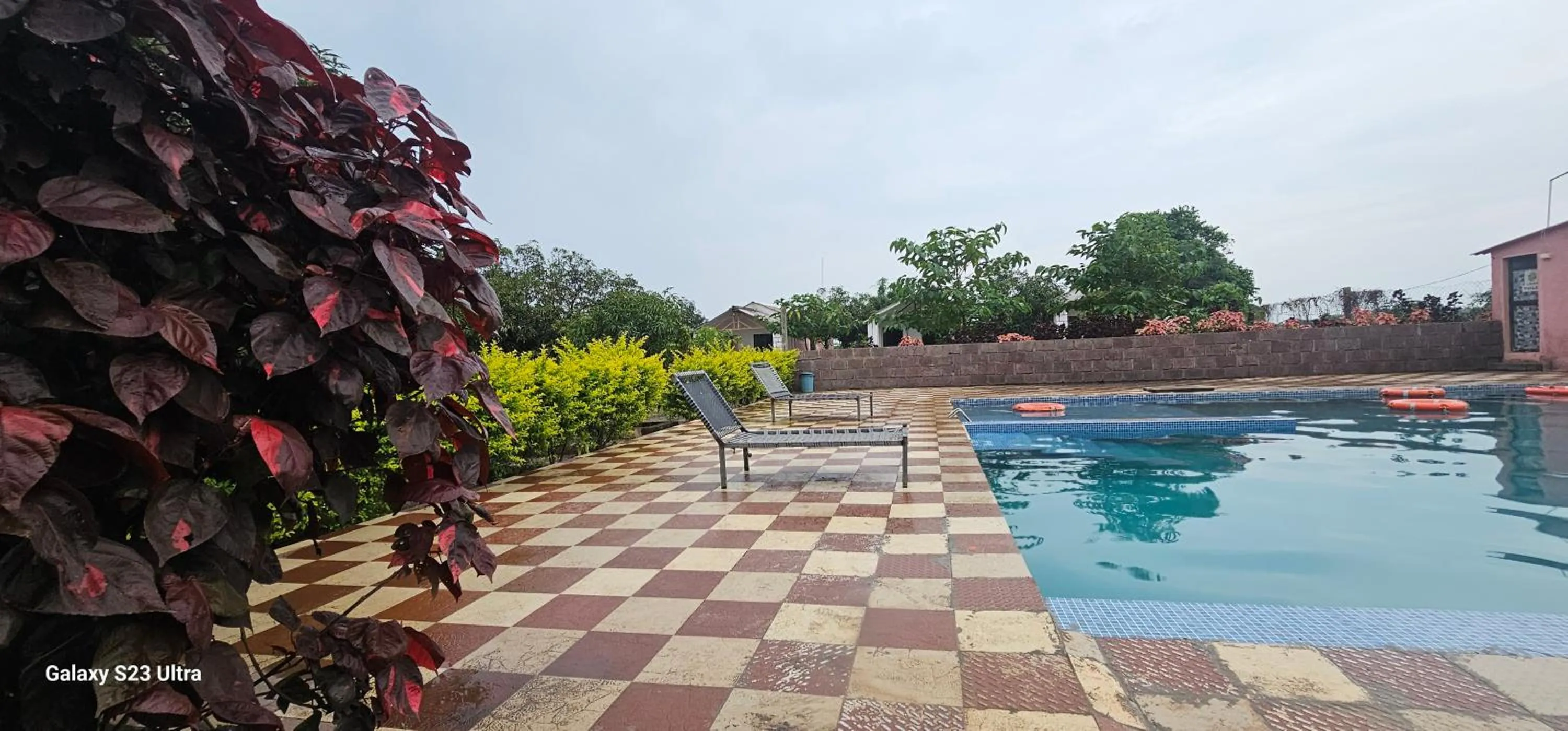 Swimming pool in AamraKunj Gir Resort