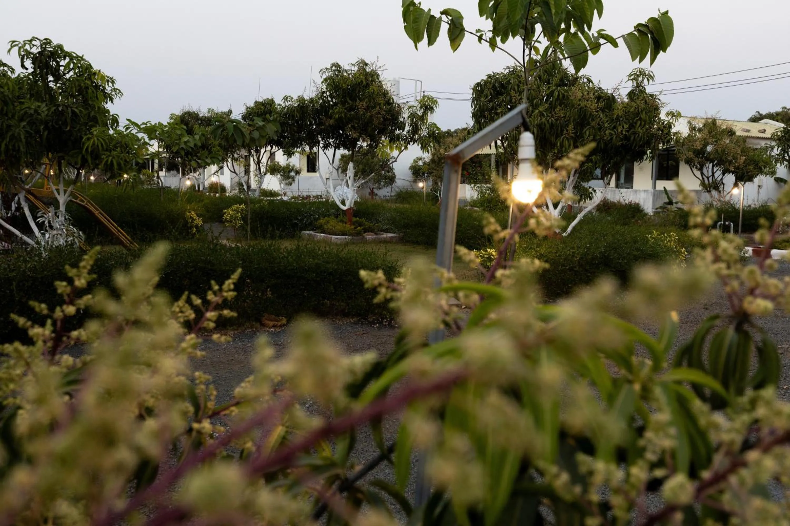 Garden in AamraKunj Gir Resort