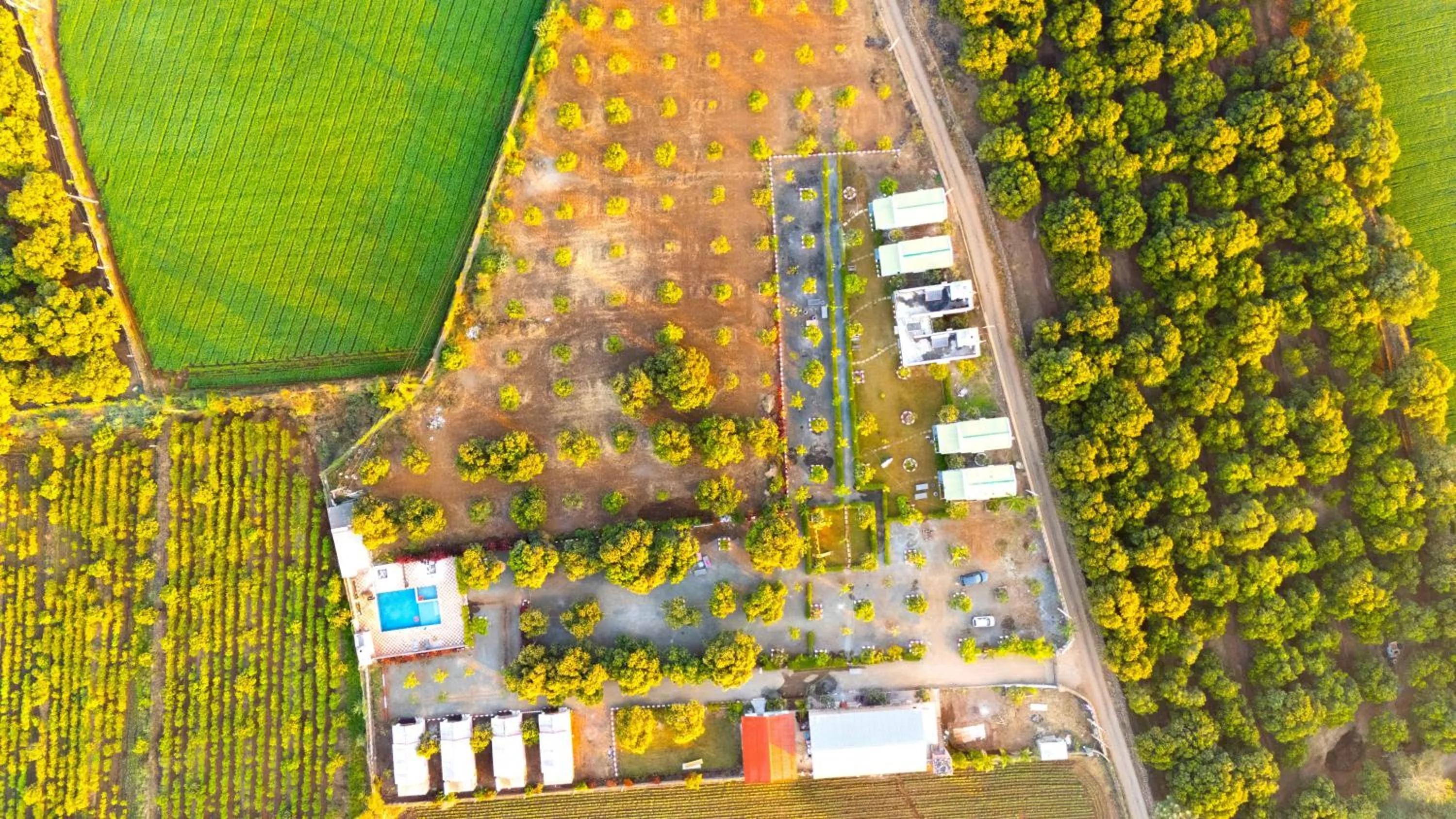 Natural landscape in AamraKunj Gir Resort