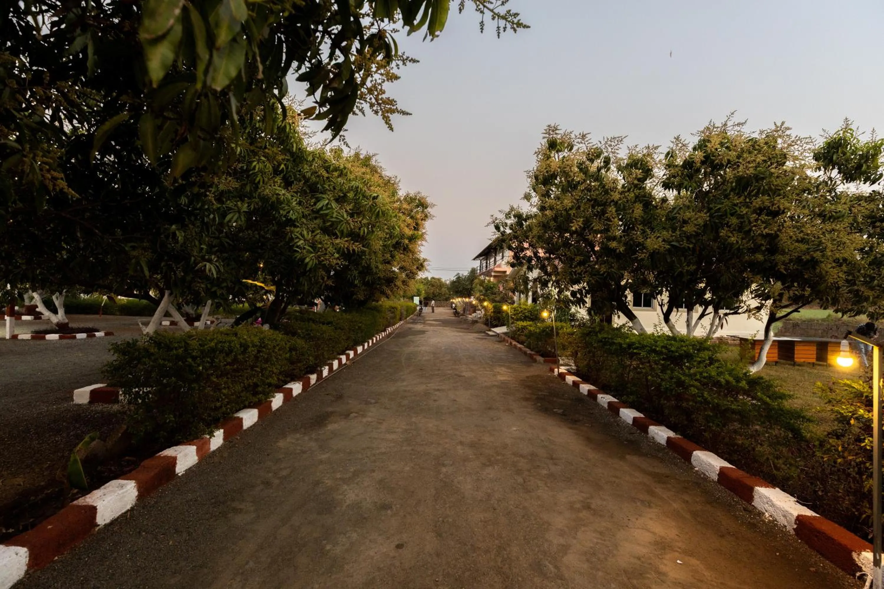 Natural landscape in AamraKunj Gir Resort