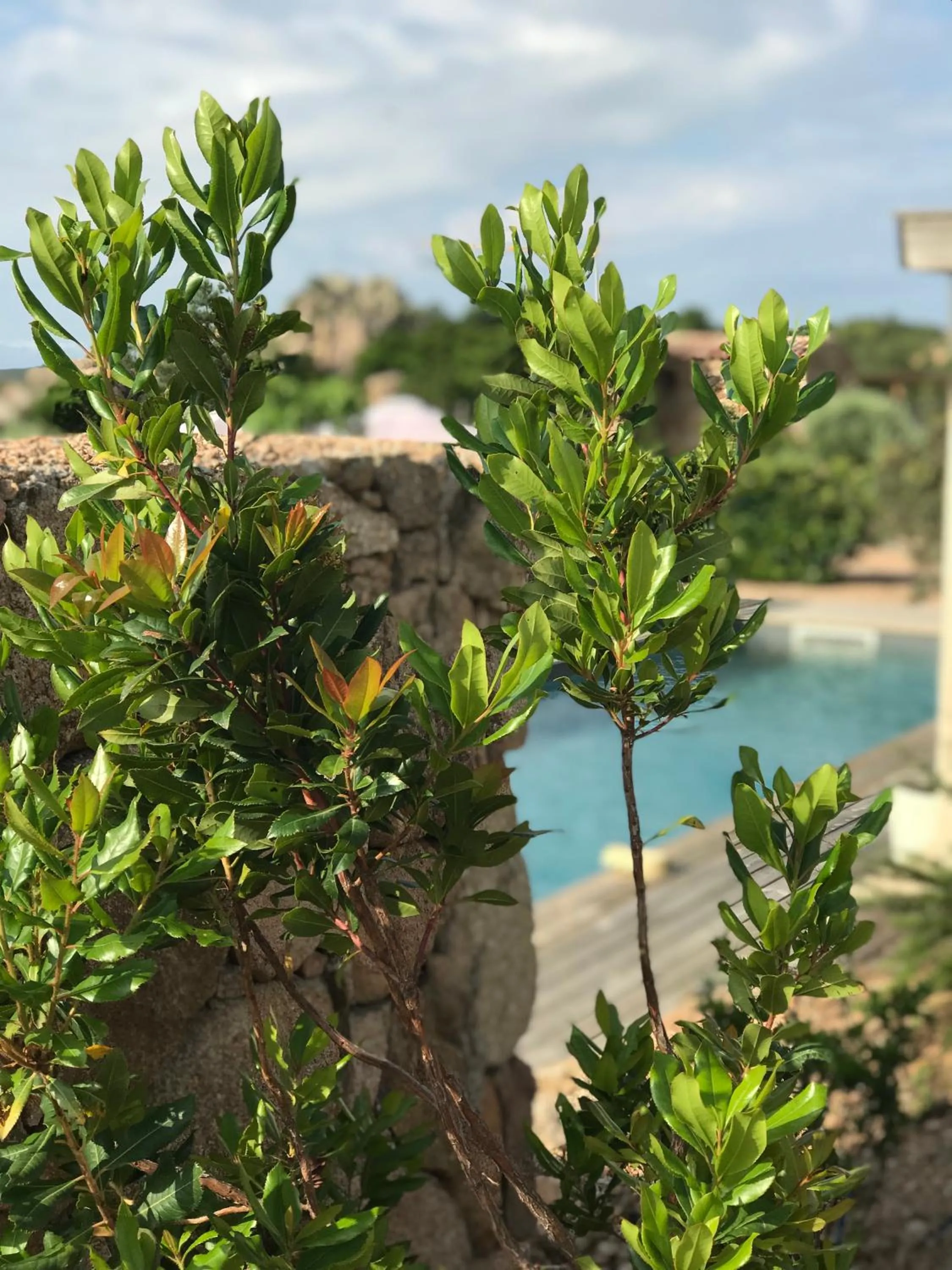 Natural landscape in Hotel Les Chambres de Mila Bonifacio