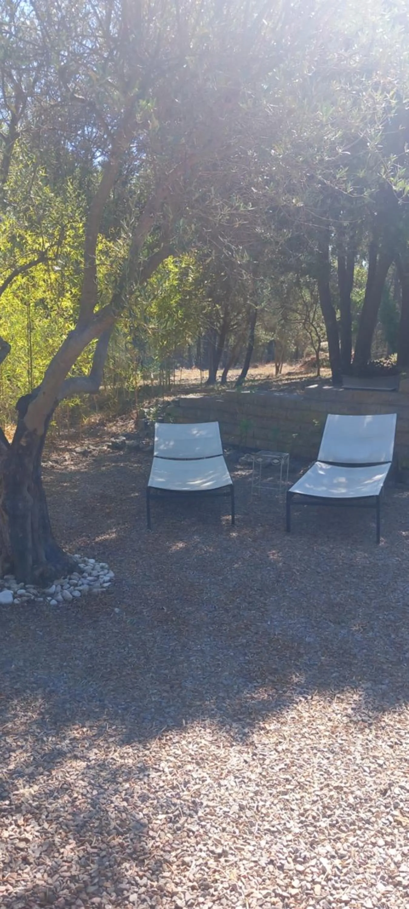Garden in Maprovencale