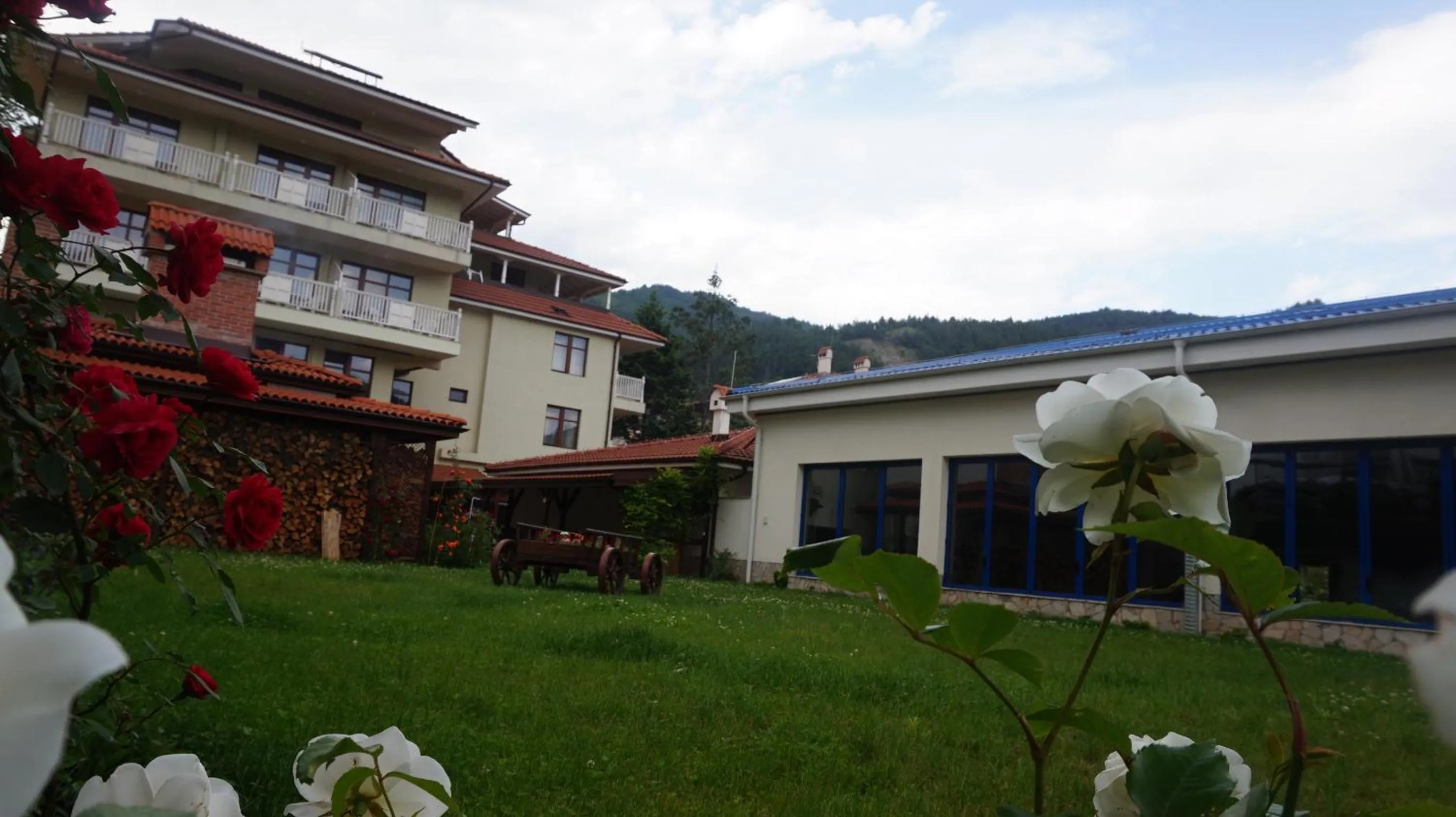 Garden in Хотел Стиляна/Hotel Stilyana