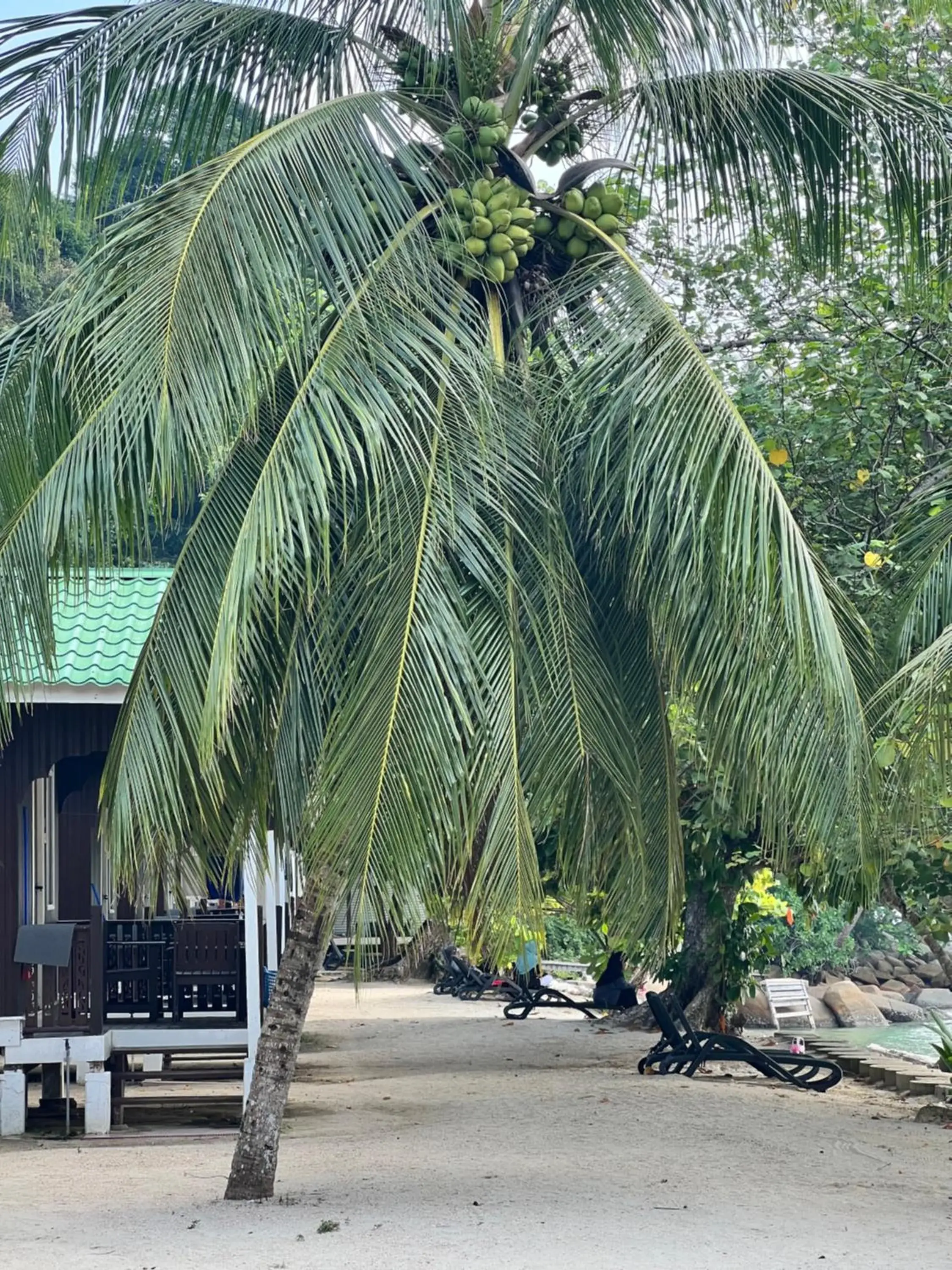 Double Room with Sea View in Mama's Chalet Pulau Perhentian Besar Double Room with Sea View in Mama's Chalet Pulau Perhentian Besar