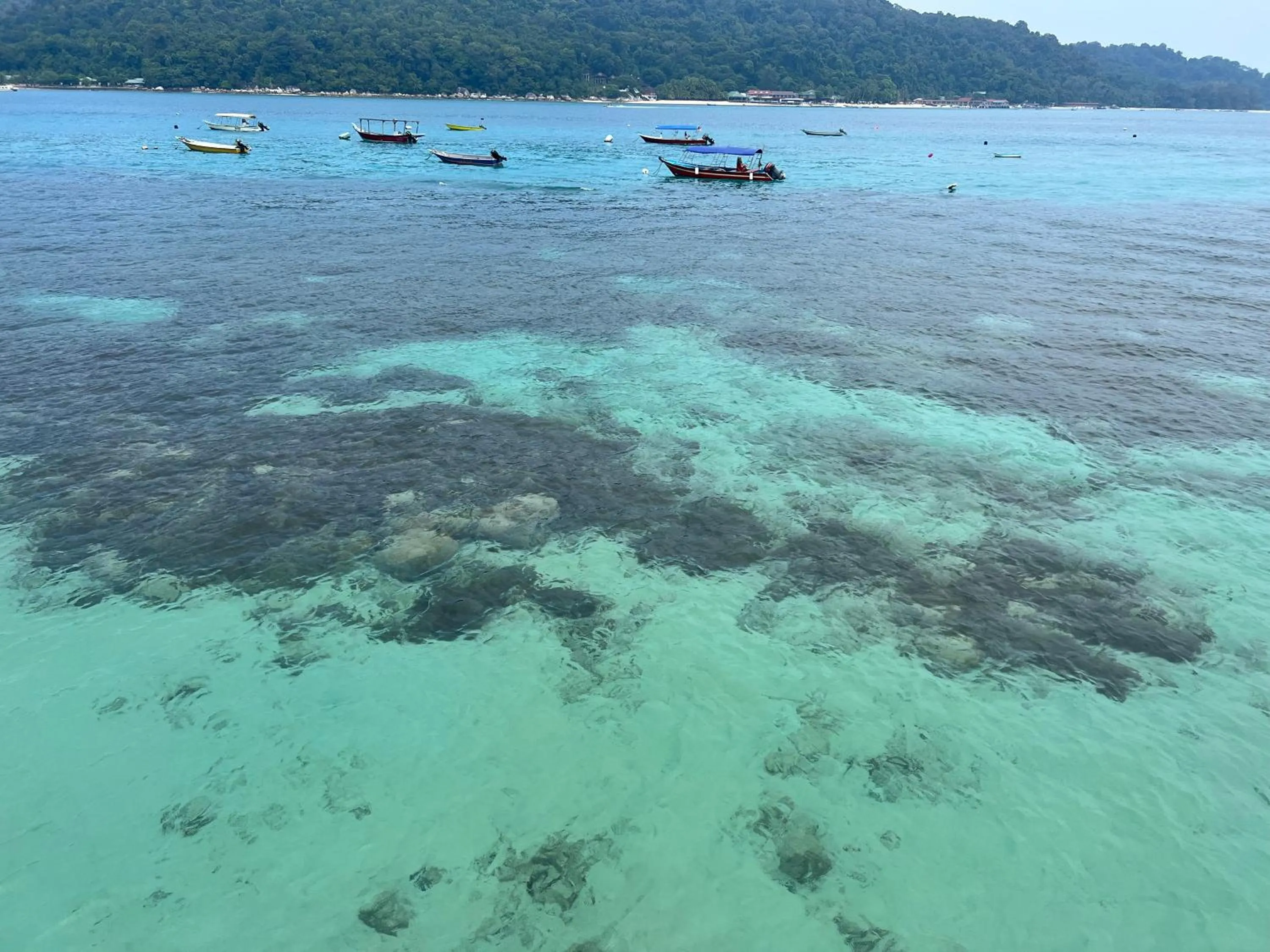 Snorkeling in Mama's Chalet Pulau Perhentian Besar