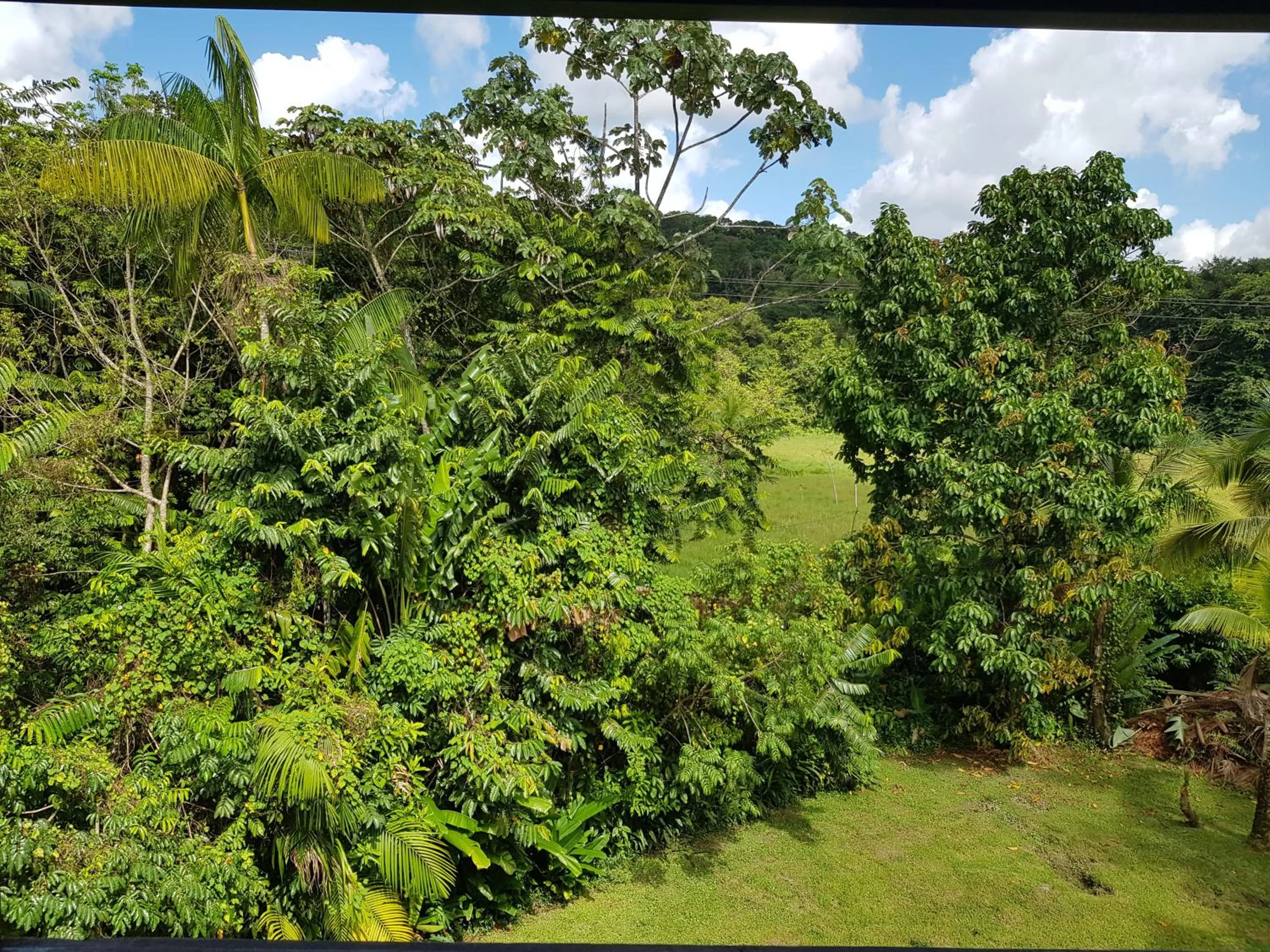 Natural landscape in Hotel La Marmotte