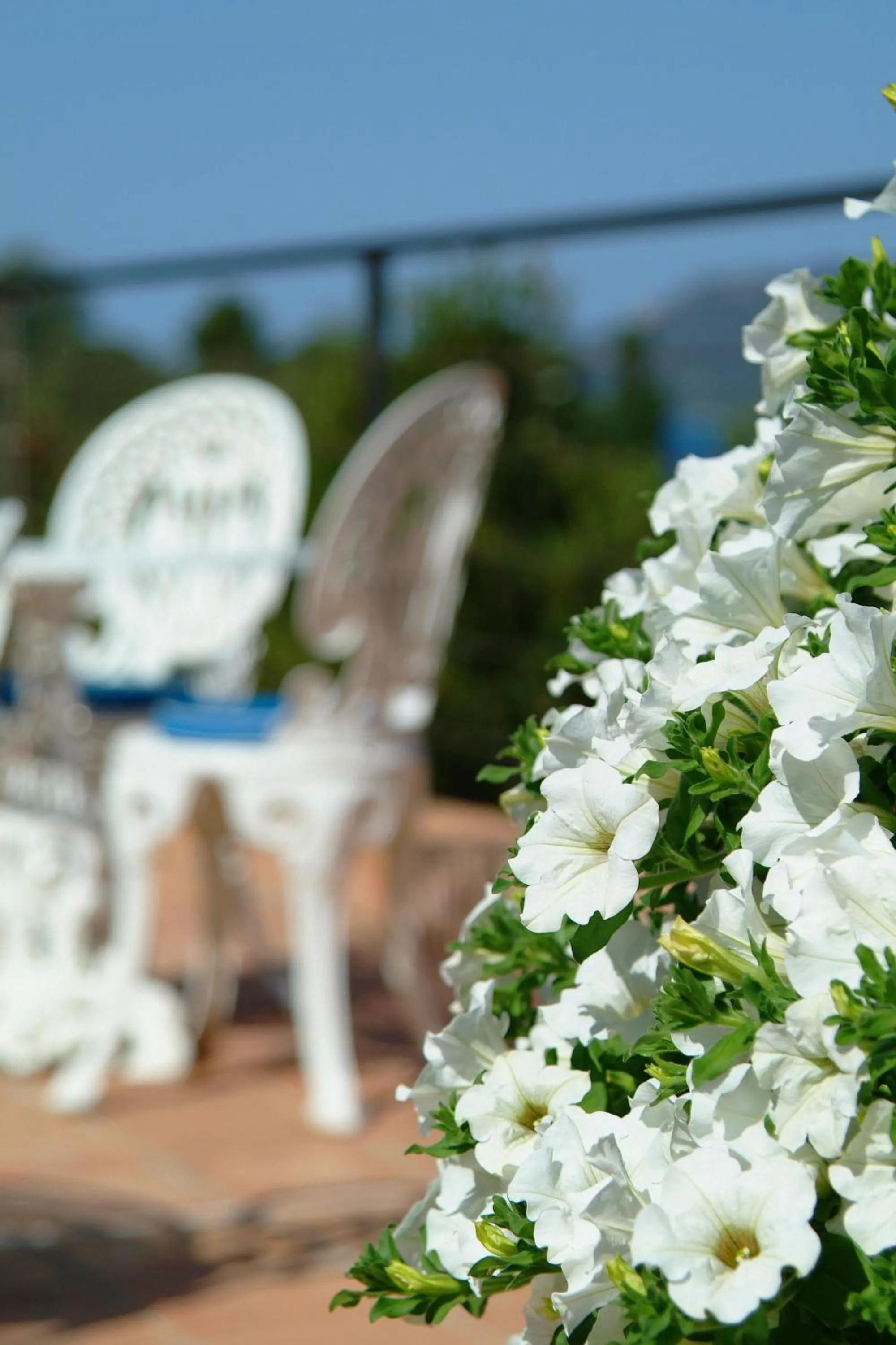 A'mare Corsica I Seaside Small Resort