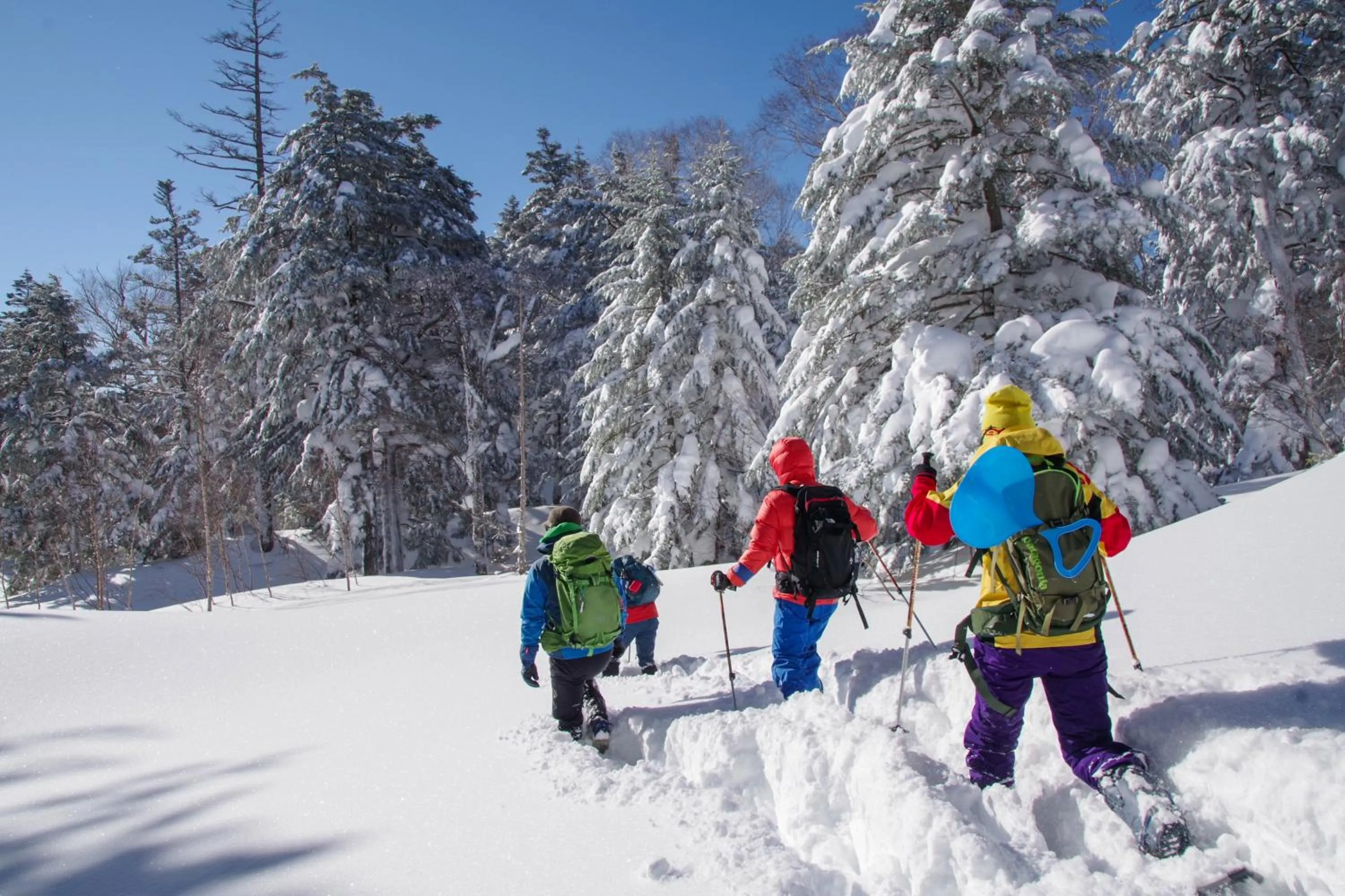 Day in Manza Prince Hotel