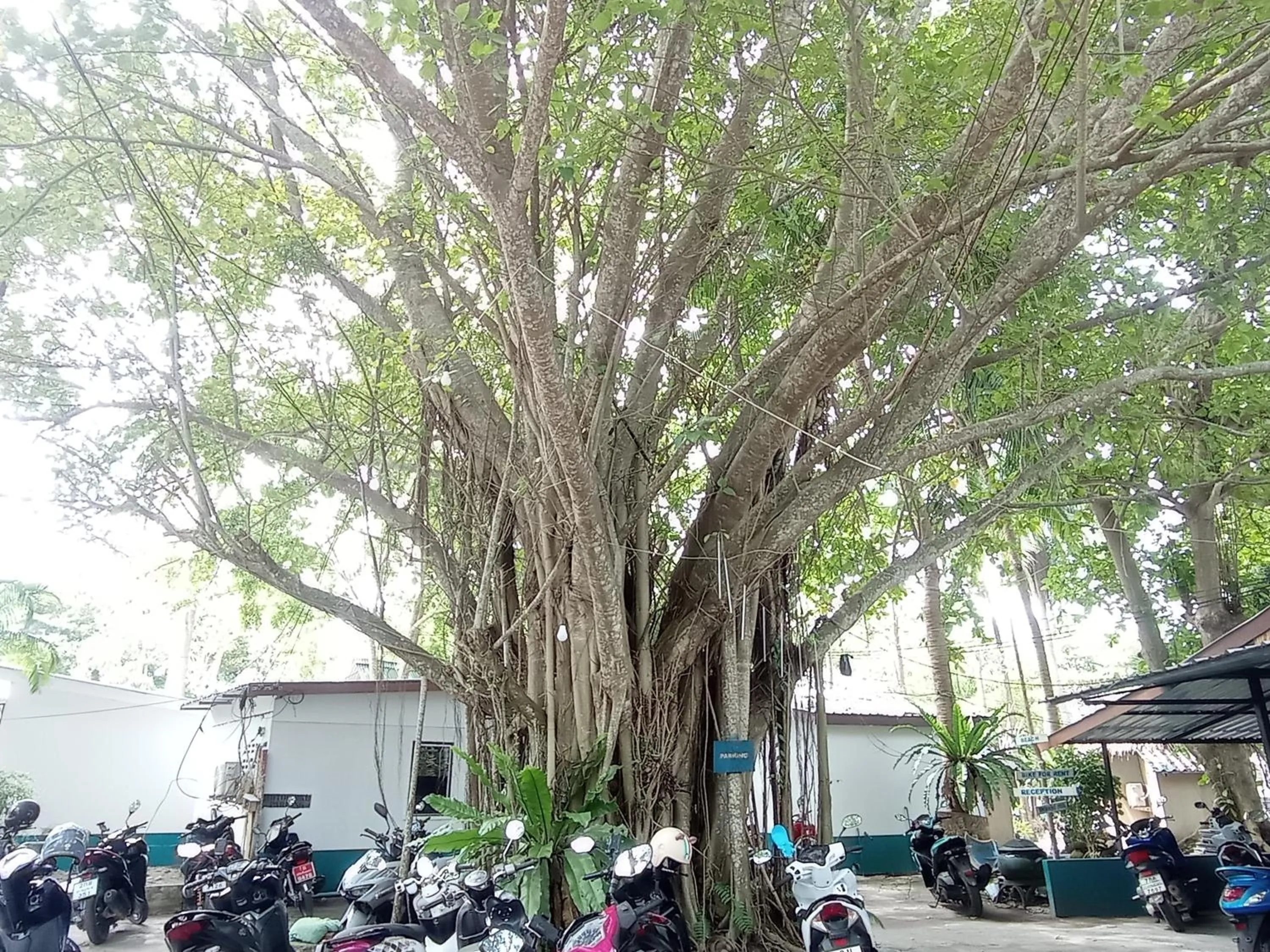 Parking in The Relax Resort