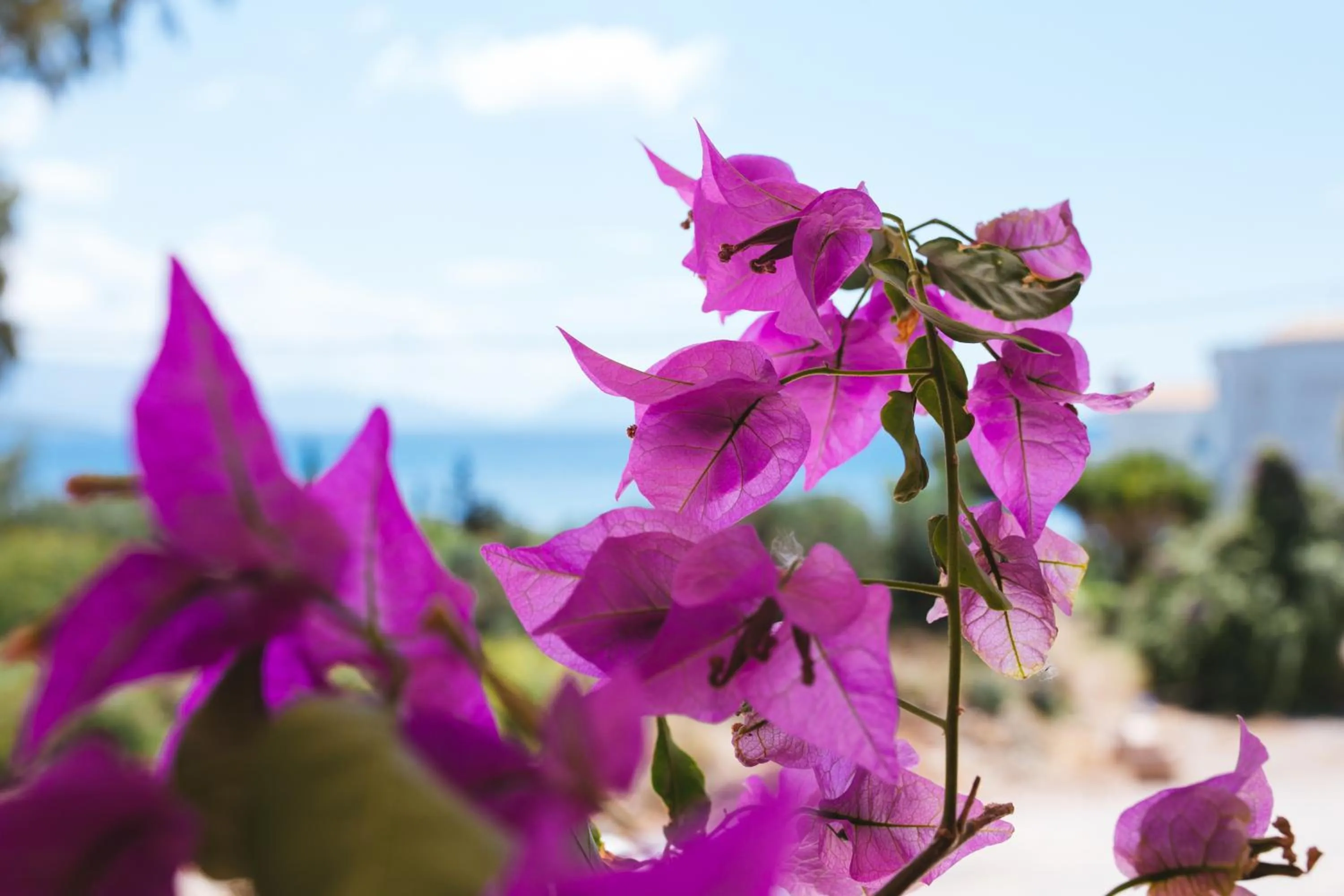 Natural landscape in Ionio Hotel