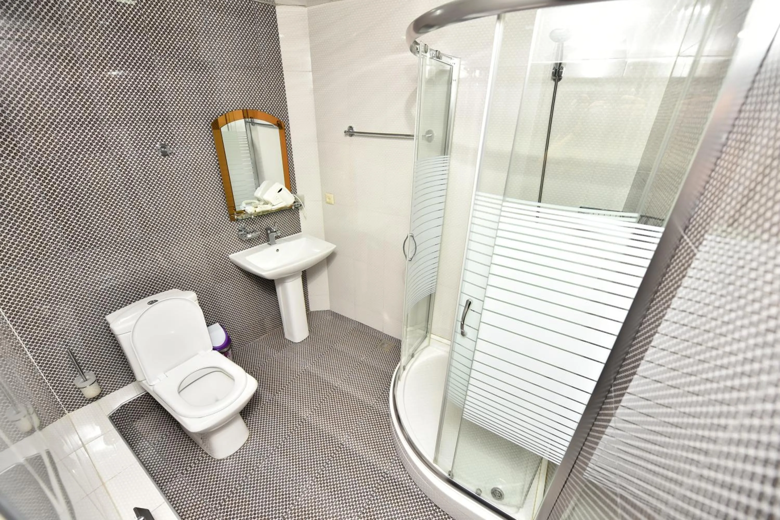 Bathroom in Hotel Phaliashvili