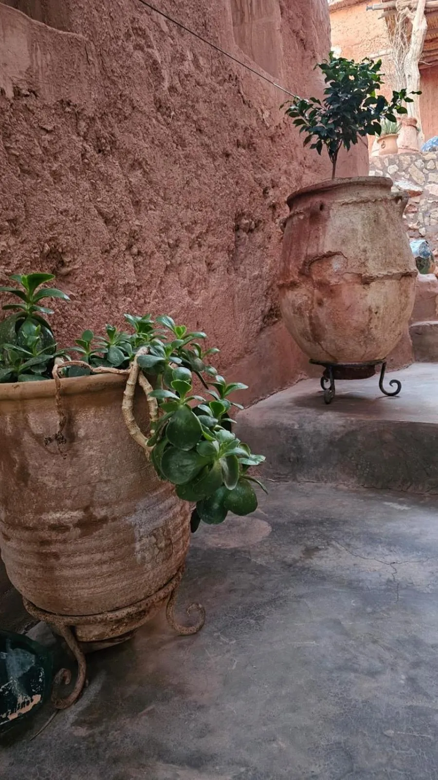 Kasbah Tigmi El Janoub