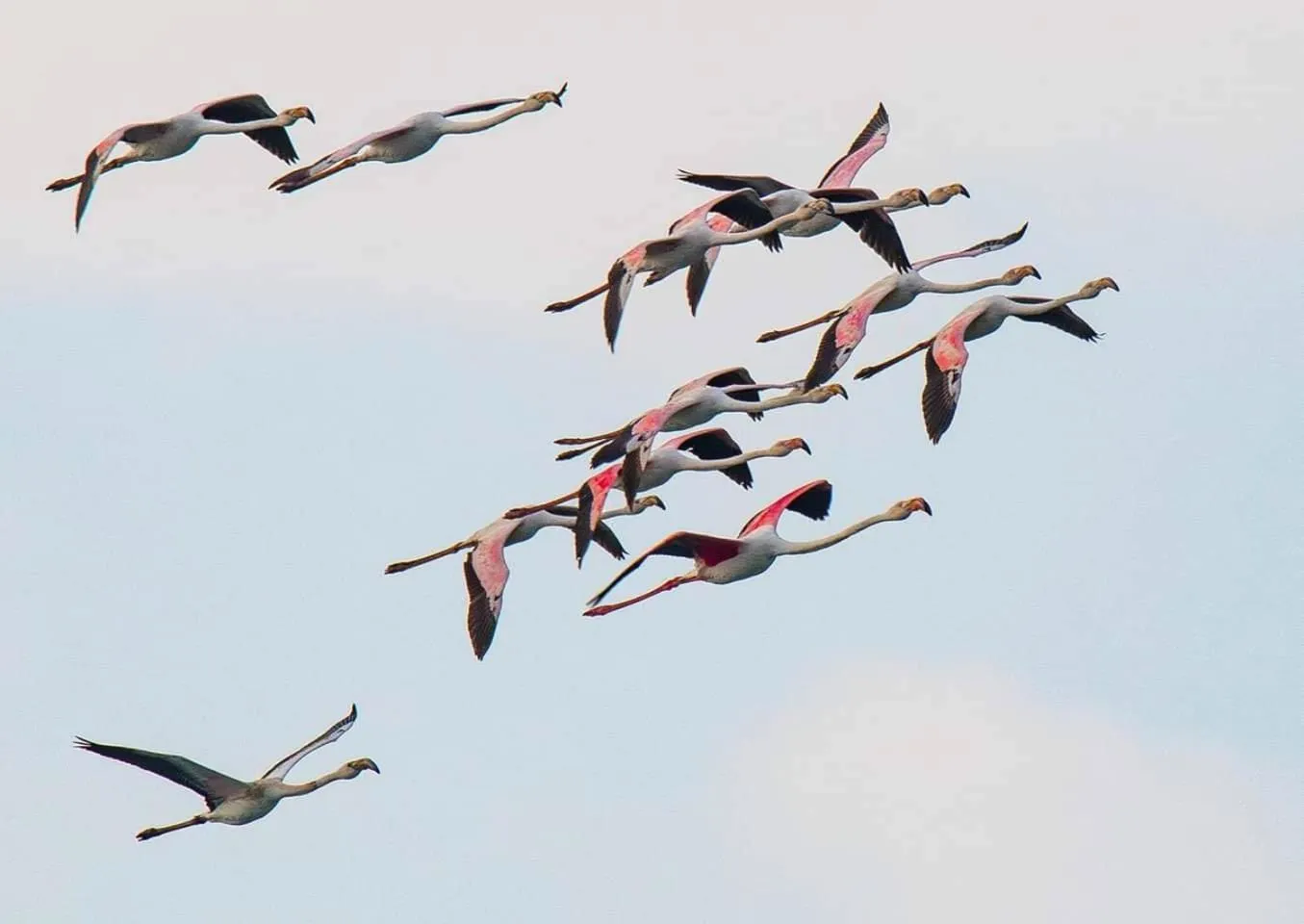 Animals in Leopard Corner Lodge