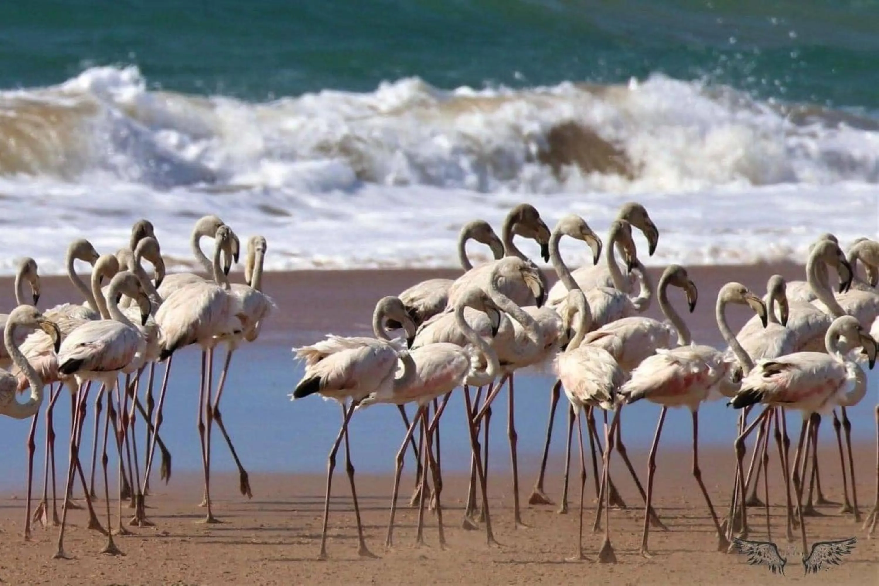 Activities in Leopard Corner Lodge