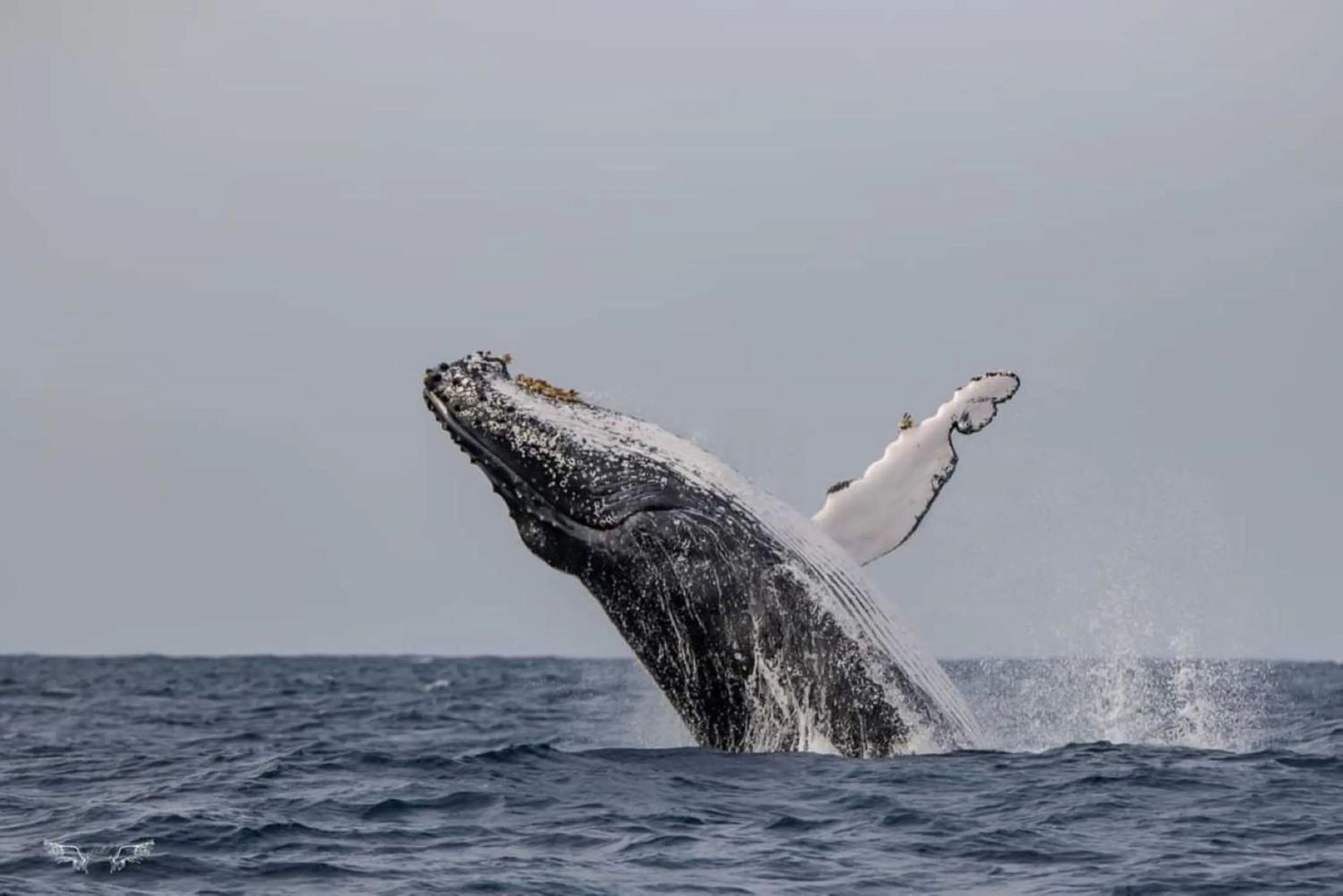 Activities in Leopard Corner Lodge
