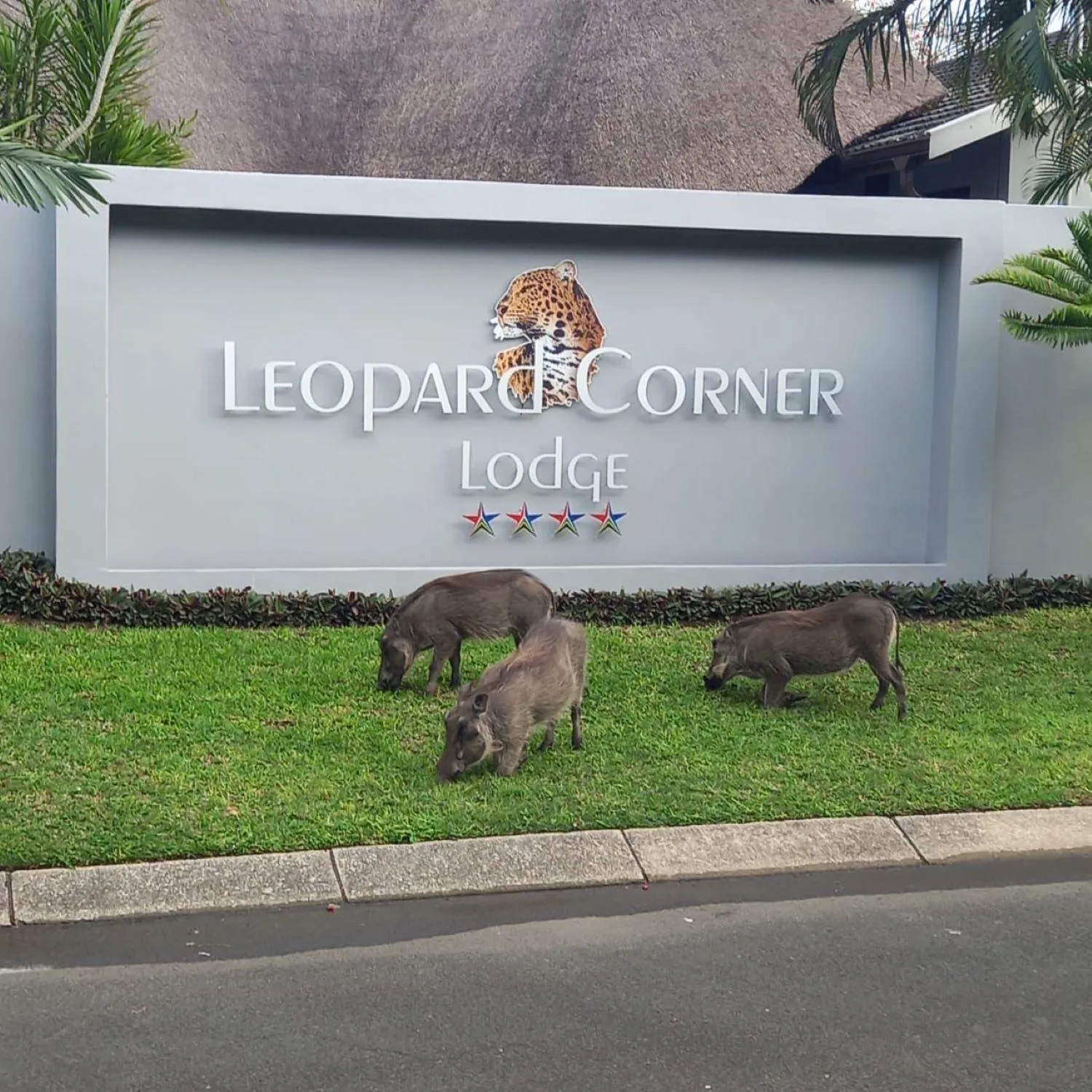 Day in Leopard Corner Lodge