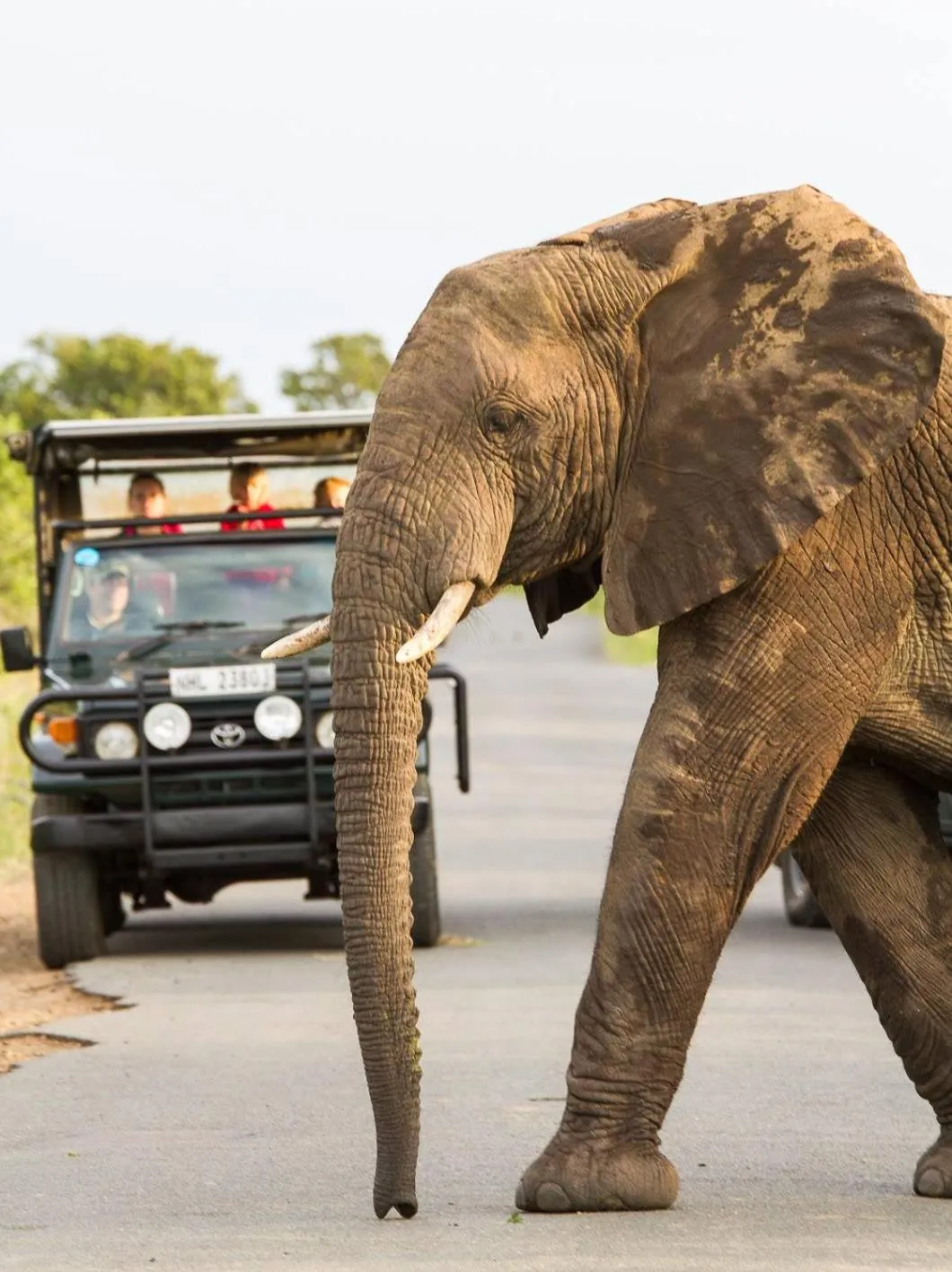 People in Leopard Corner Lodge